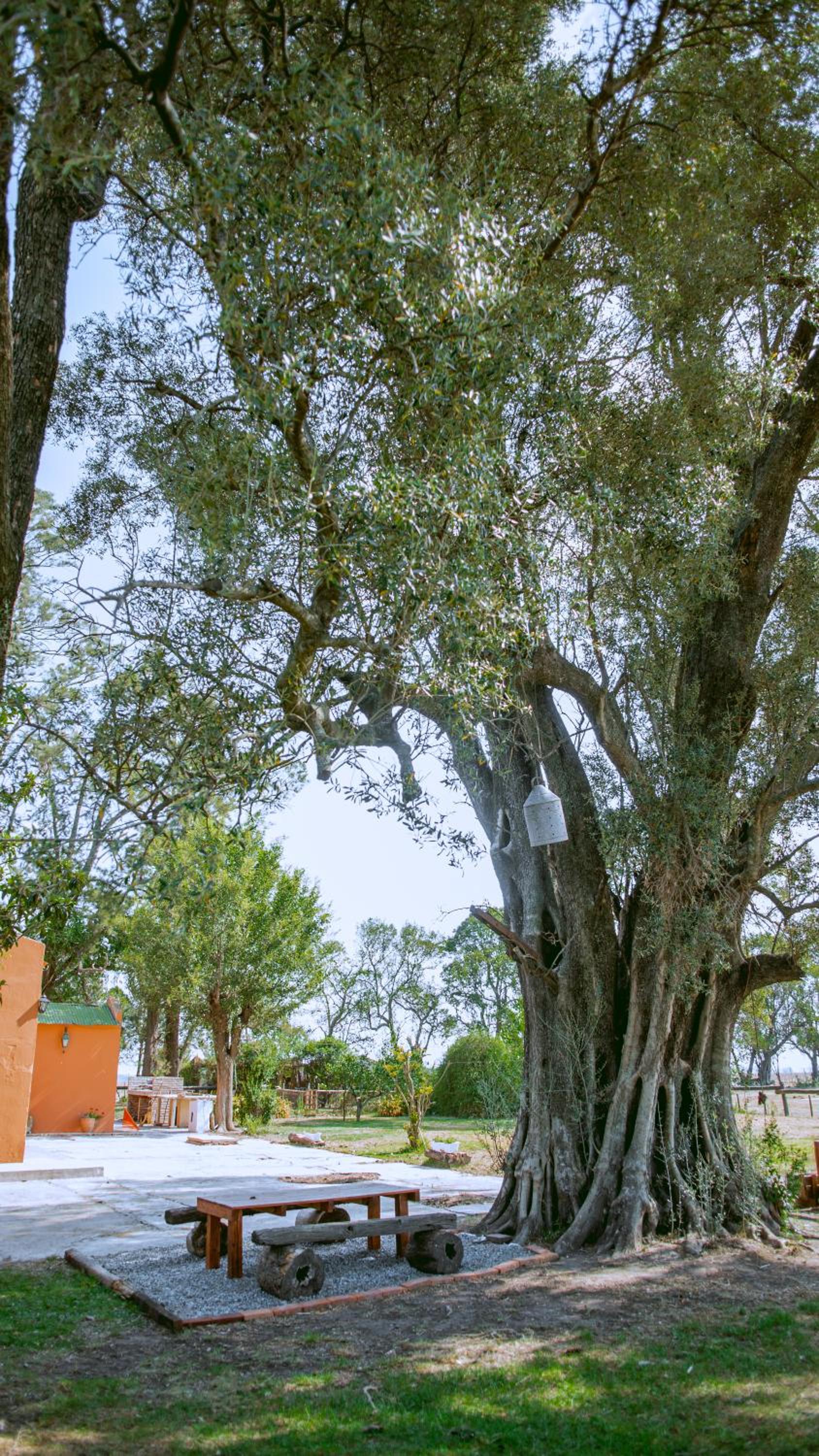 Inti, hospedaje de campo.