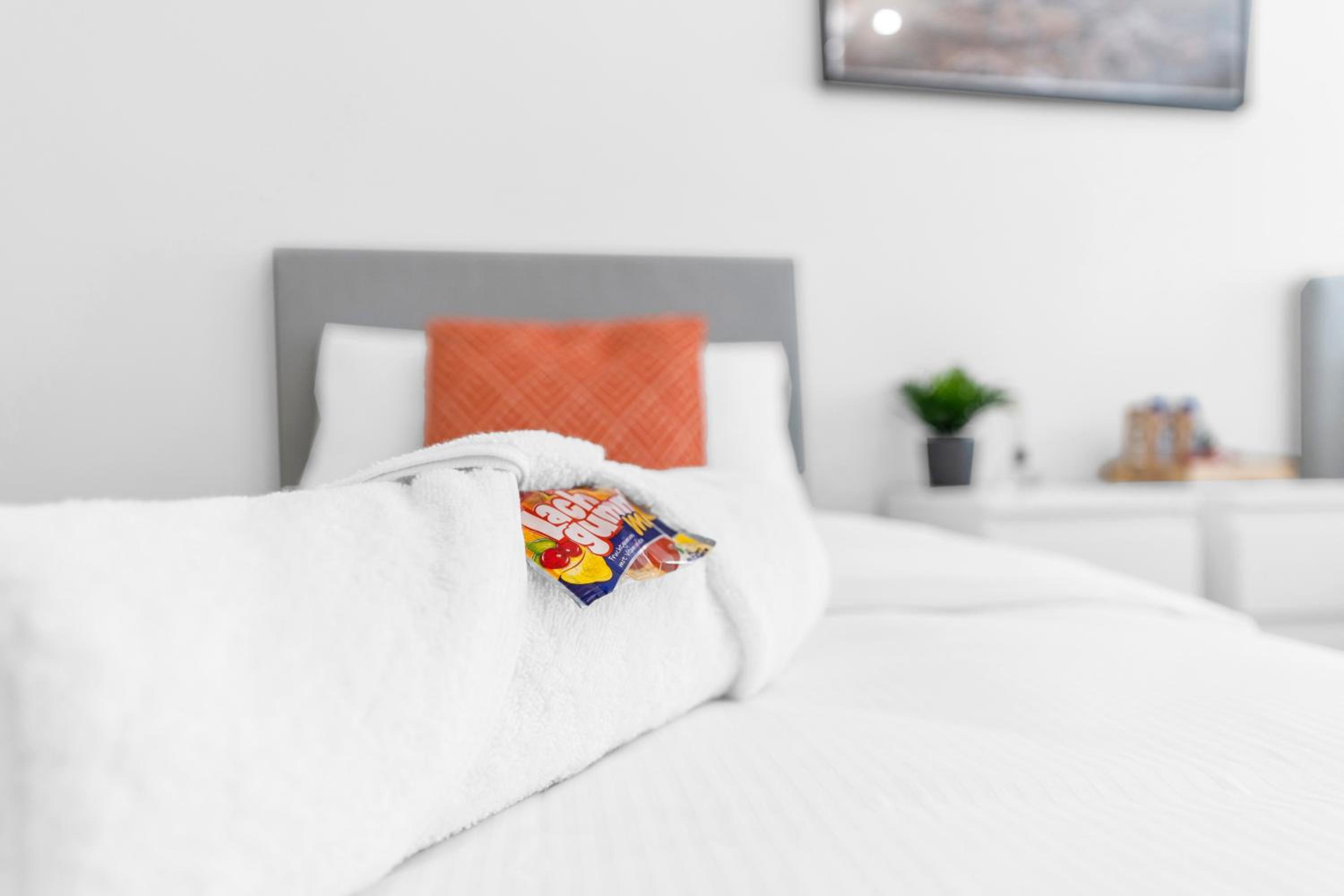 2 Zimmer Apartments,4 Betten,zentral am Sbahnhof Köpenick,vollmöbliert