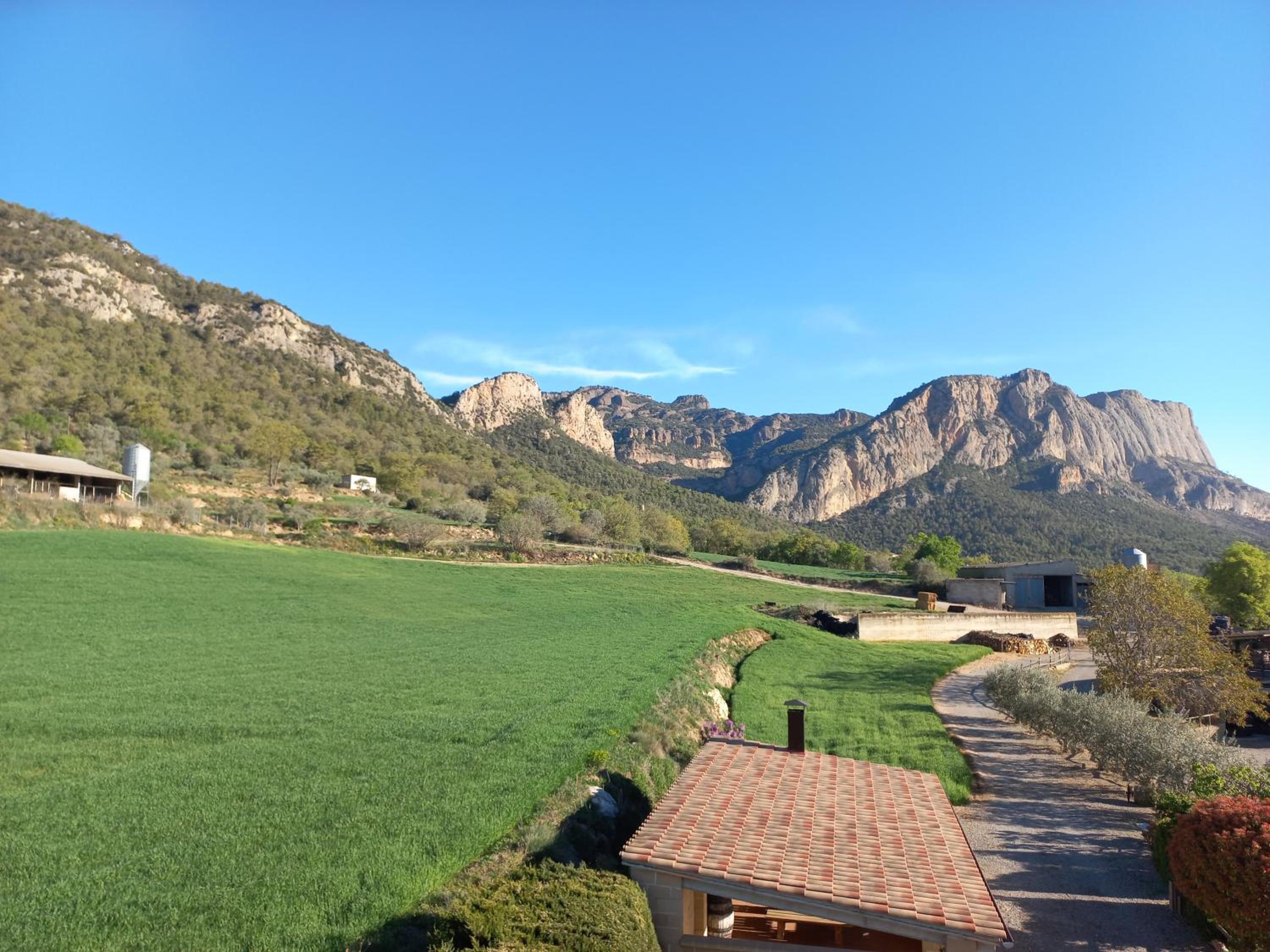 Cal Serveró view 5
