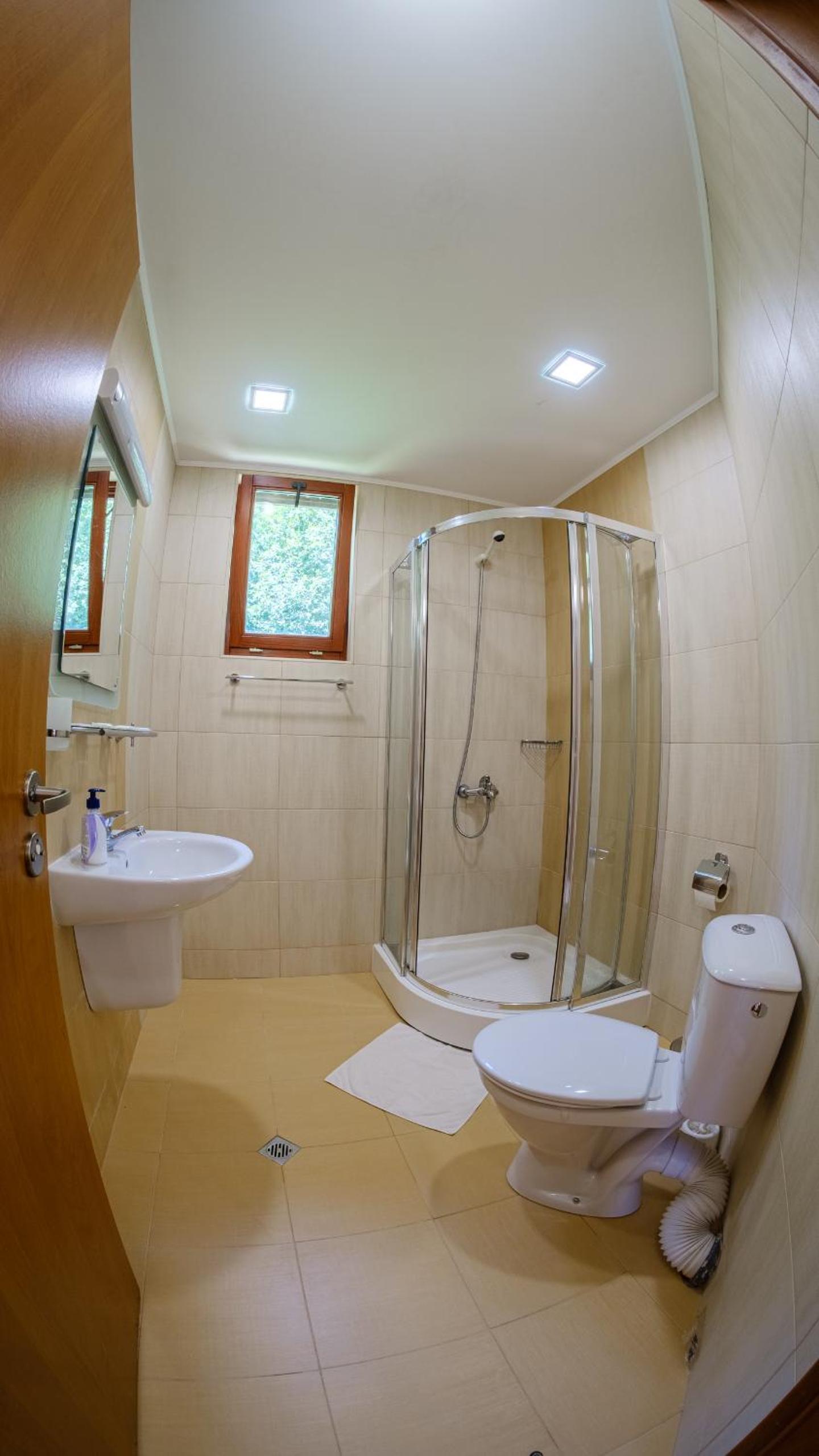 Pamporovo Cottage Savov
