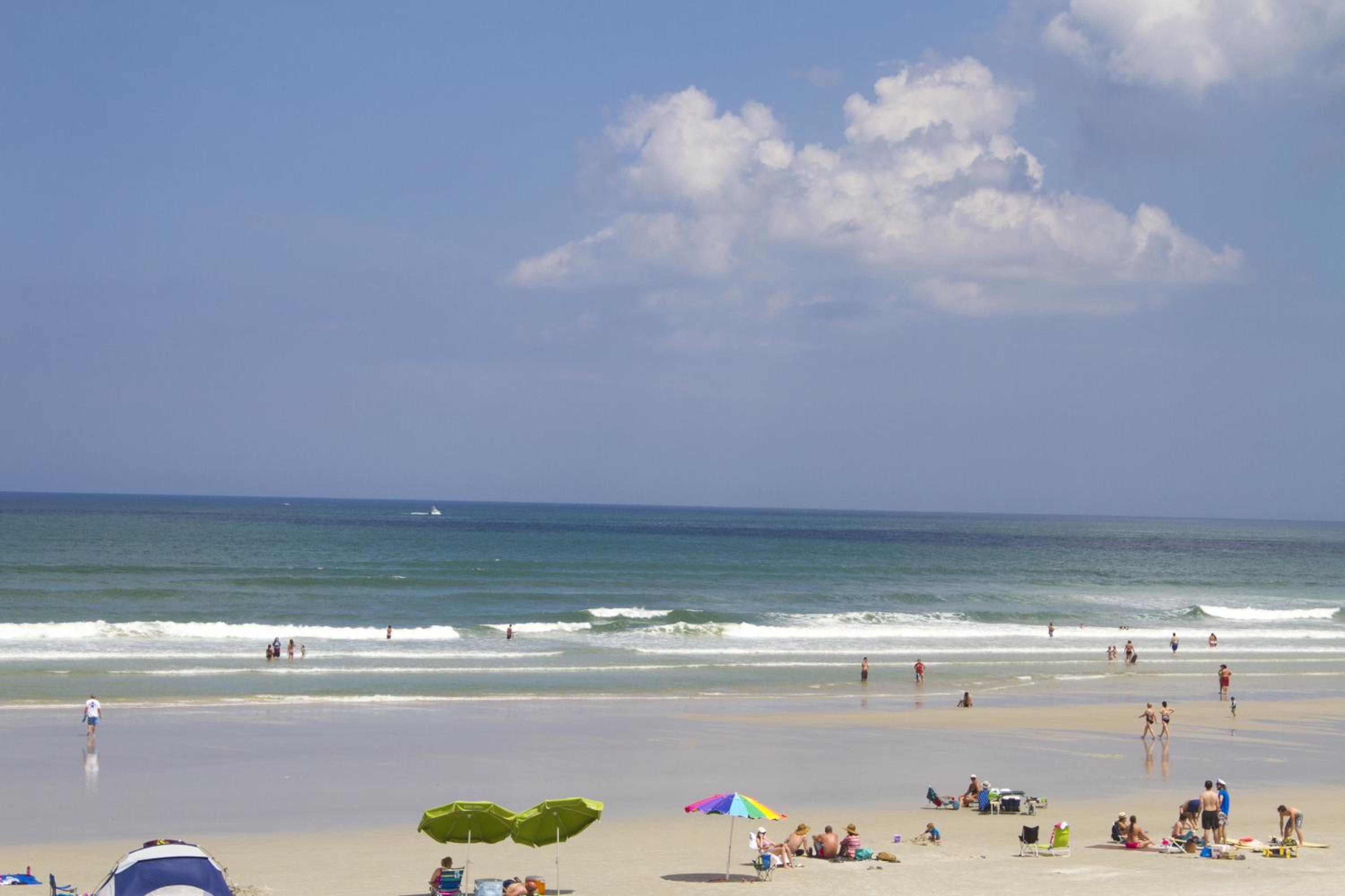 New Smyrna Waves MOD Collection by Sonesta