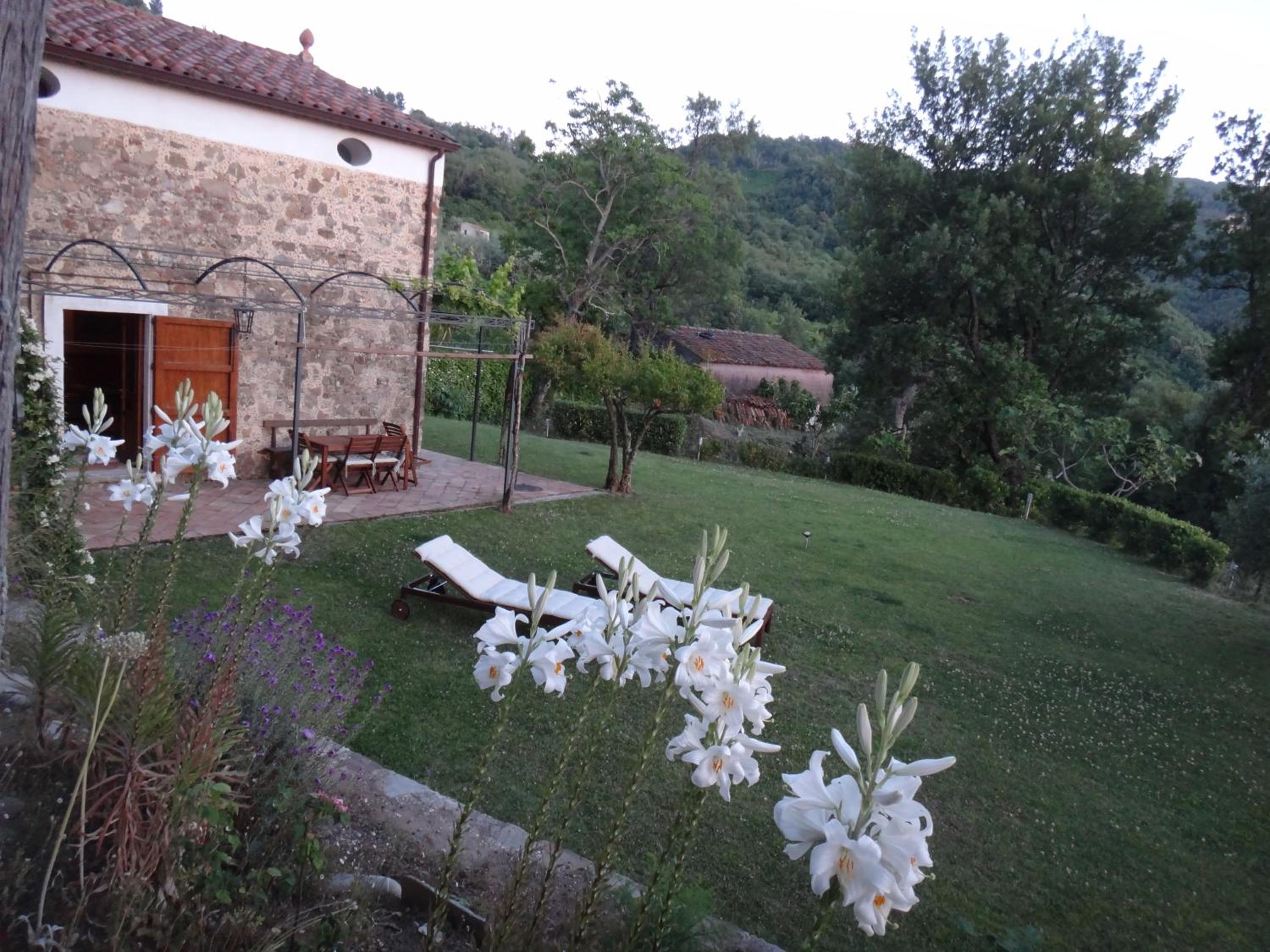 Photo 41