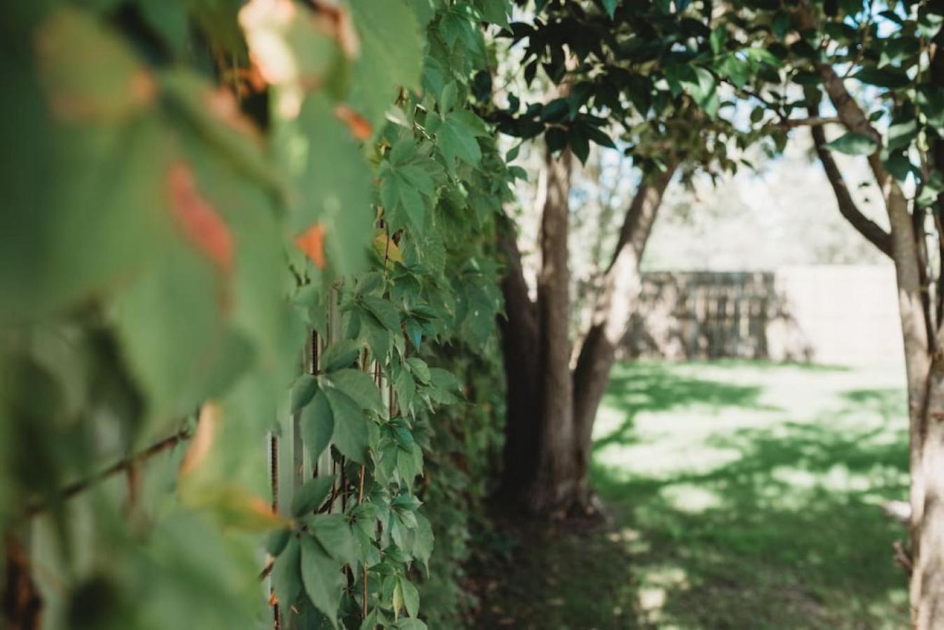 The Vine House - Benalla