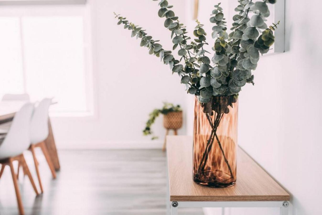 The Vine House - Benalla