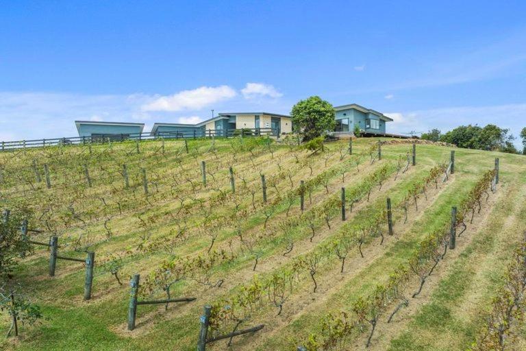 Vineyard Vacation