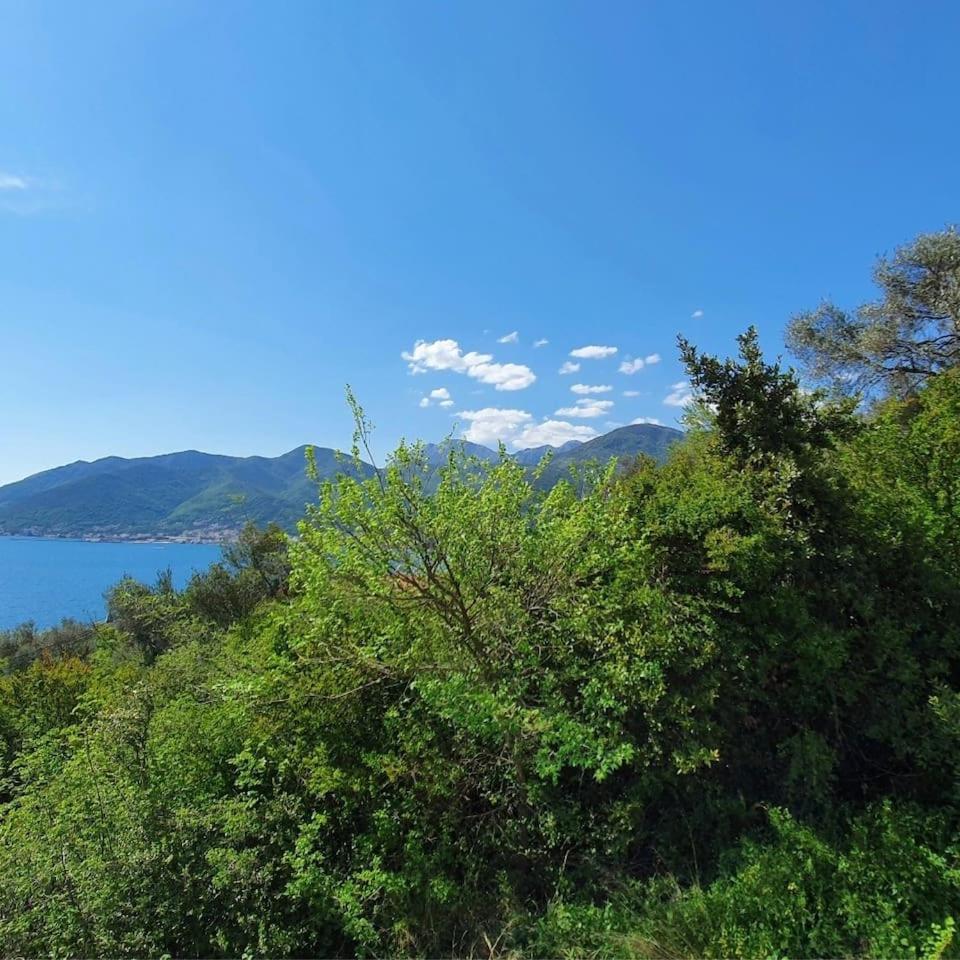 Peace Place view 4