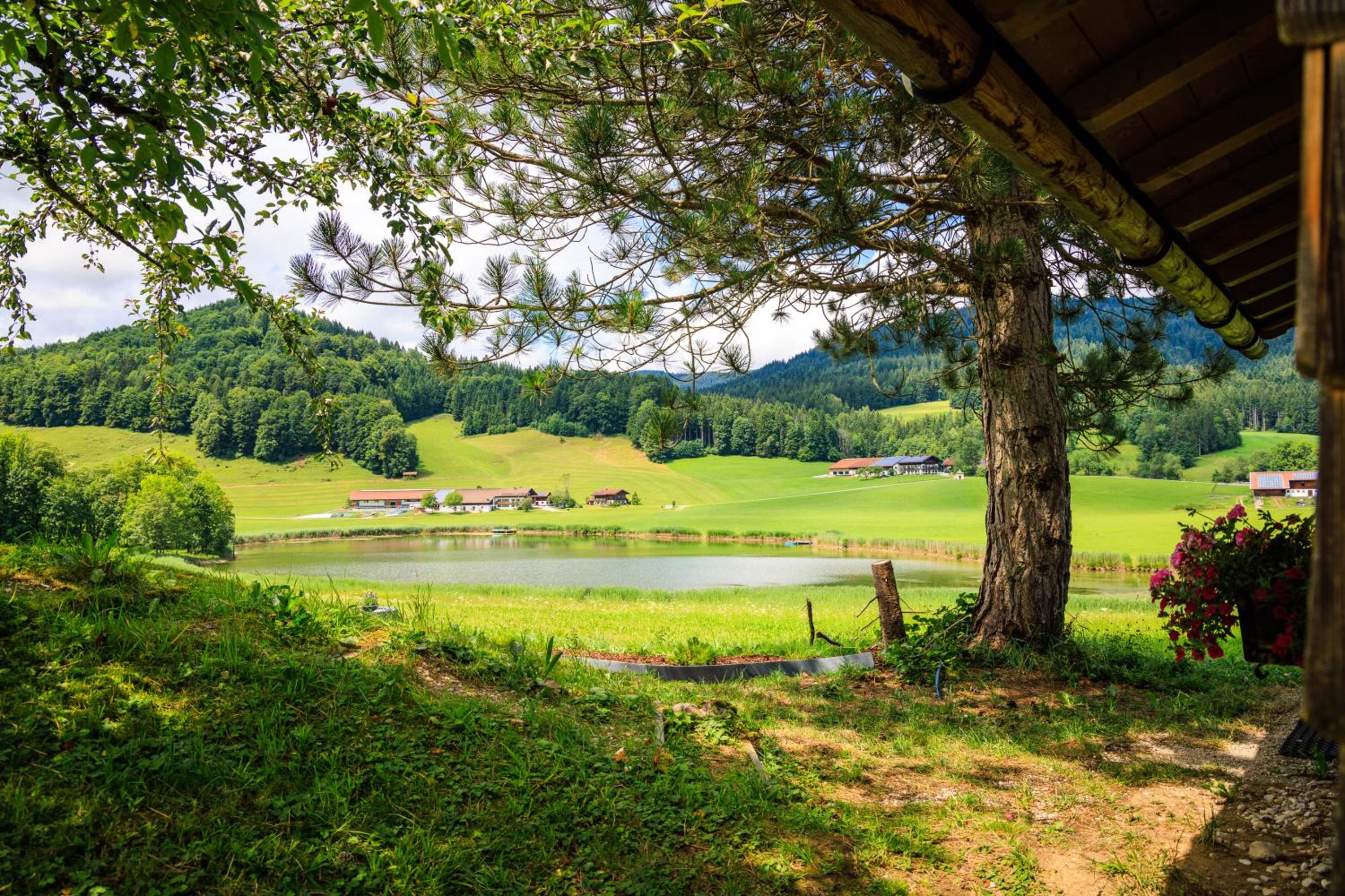 Ferienhaus Froschsee inkl. Chiemgaukarte