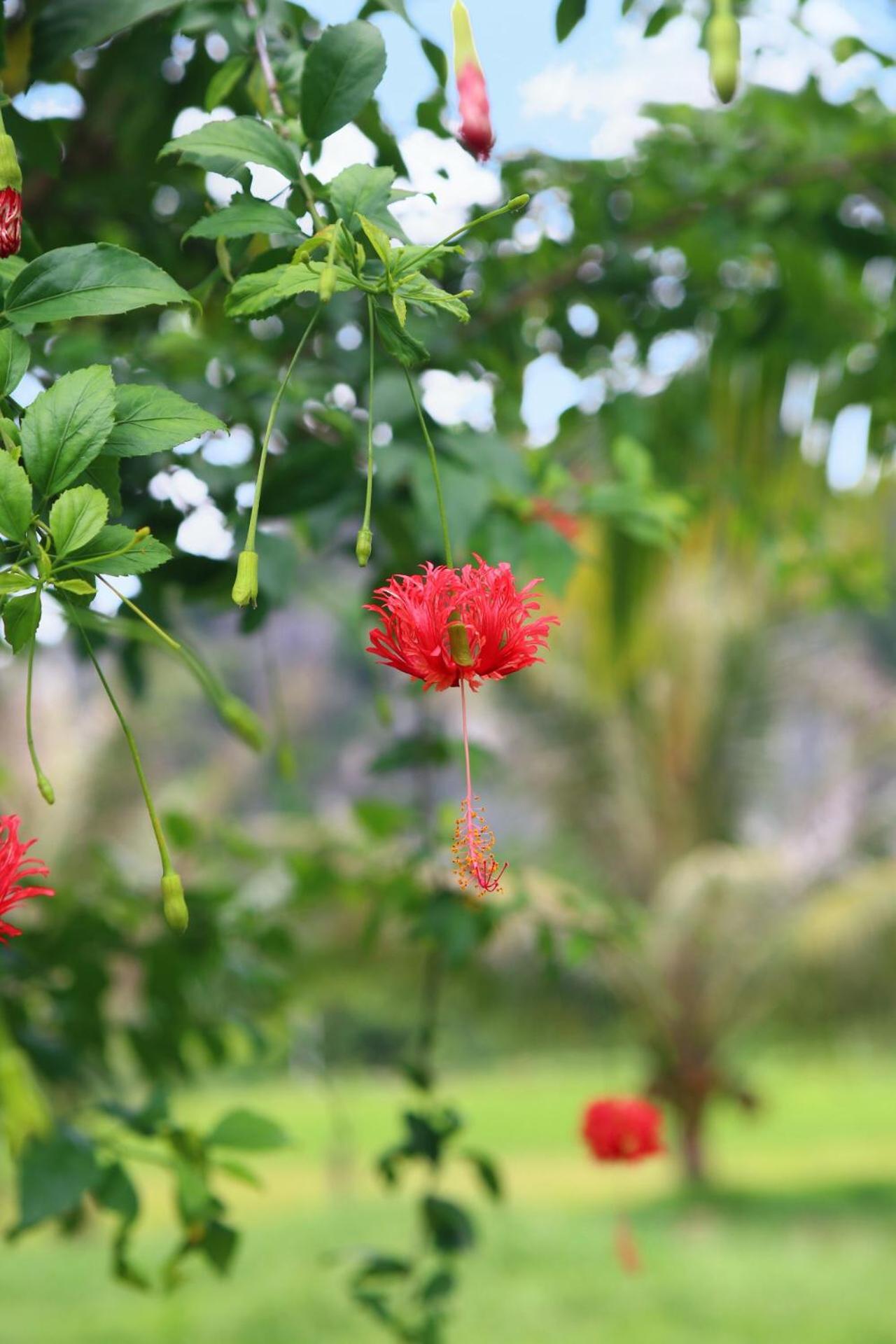 An's Eco Mountain Homestay