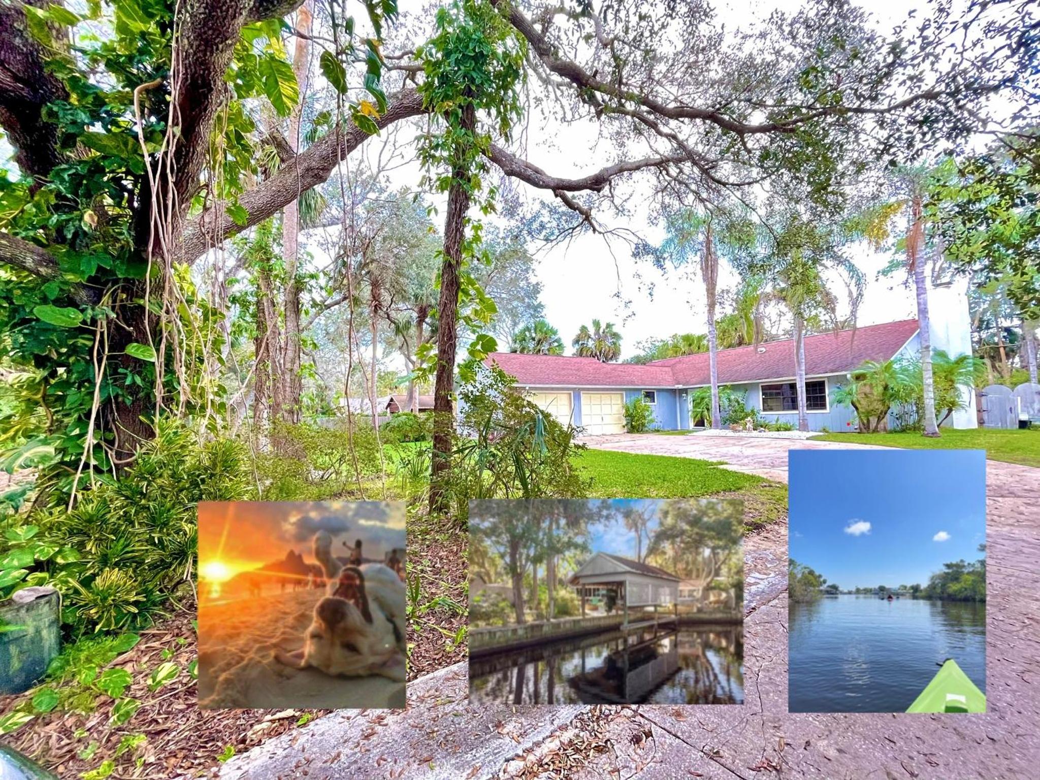 WATERFRONT Kayakers Dream nature lover cottage view 3