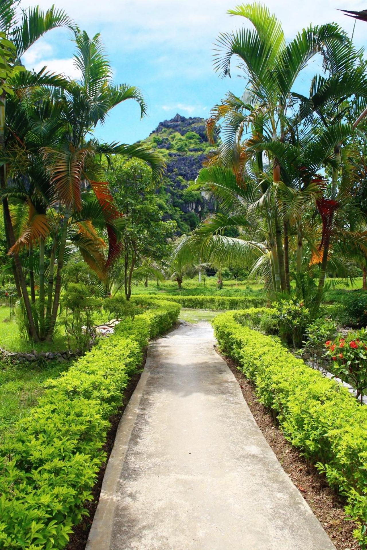 An's Eco Mountain Homestay