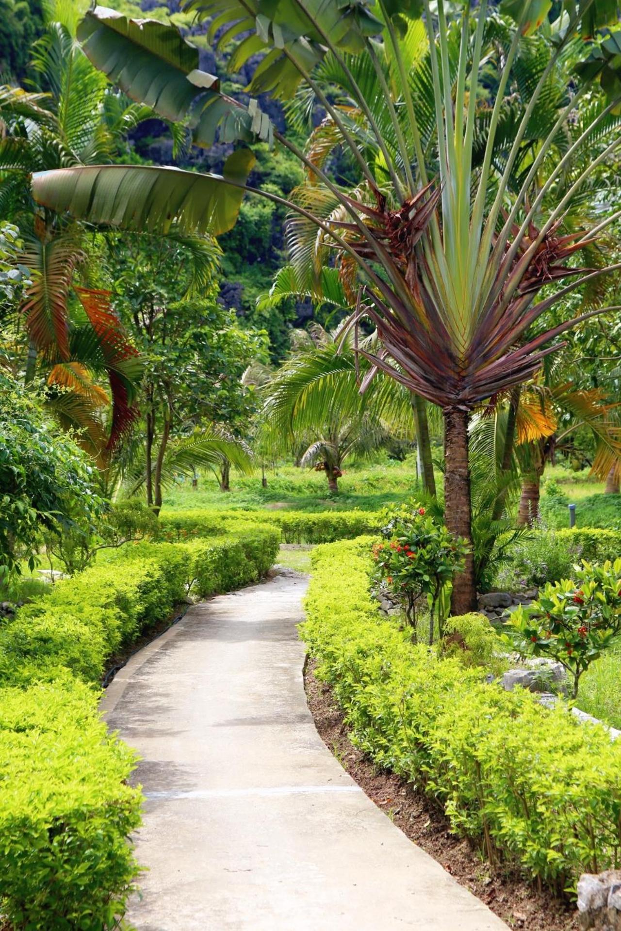 An's Eco Mountain Homestay