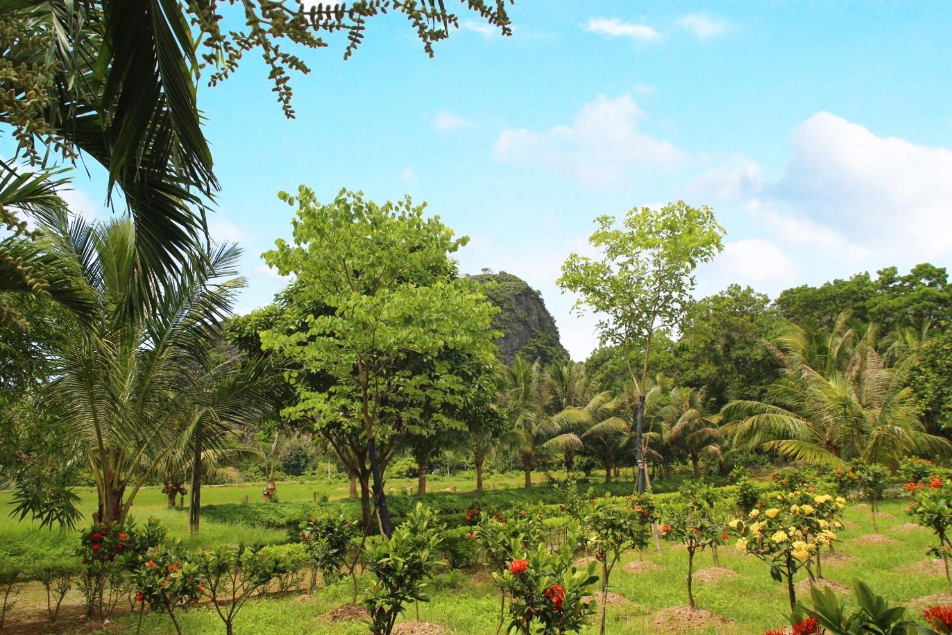 An's Eco Mountain Homestay