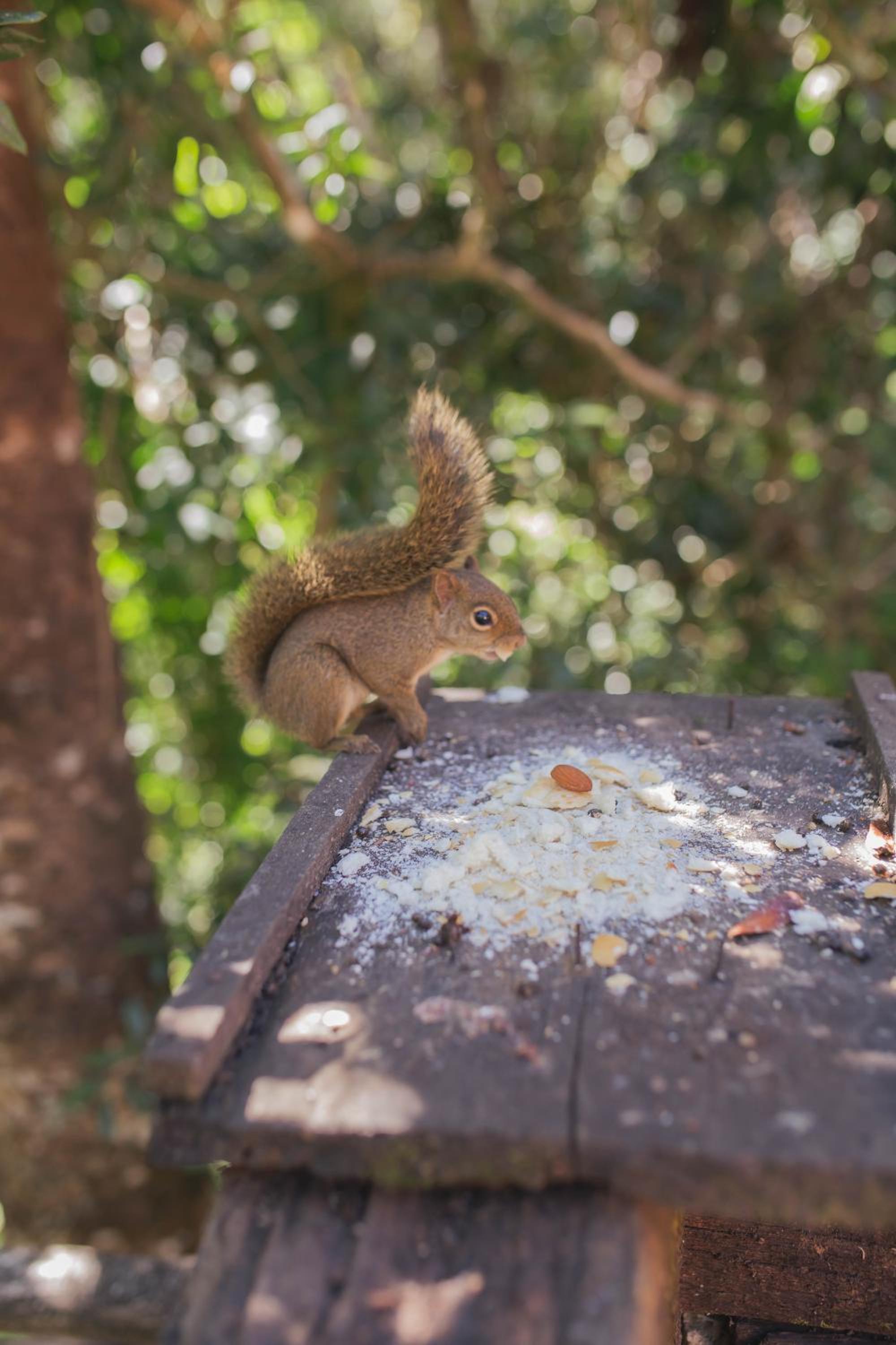 other