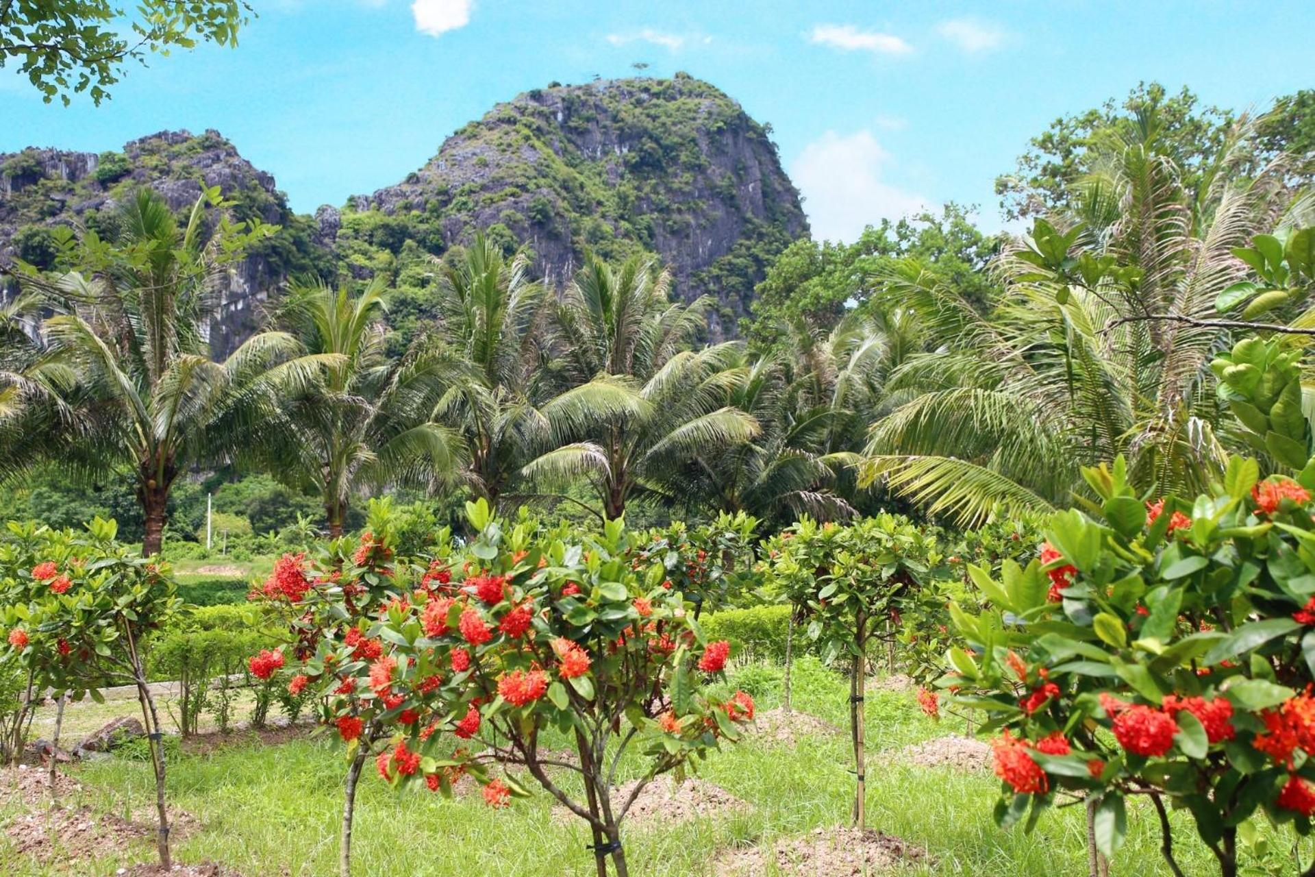 An's Eco Mountain Homestay