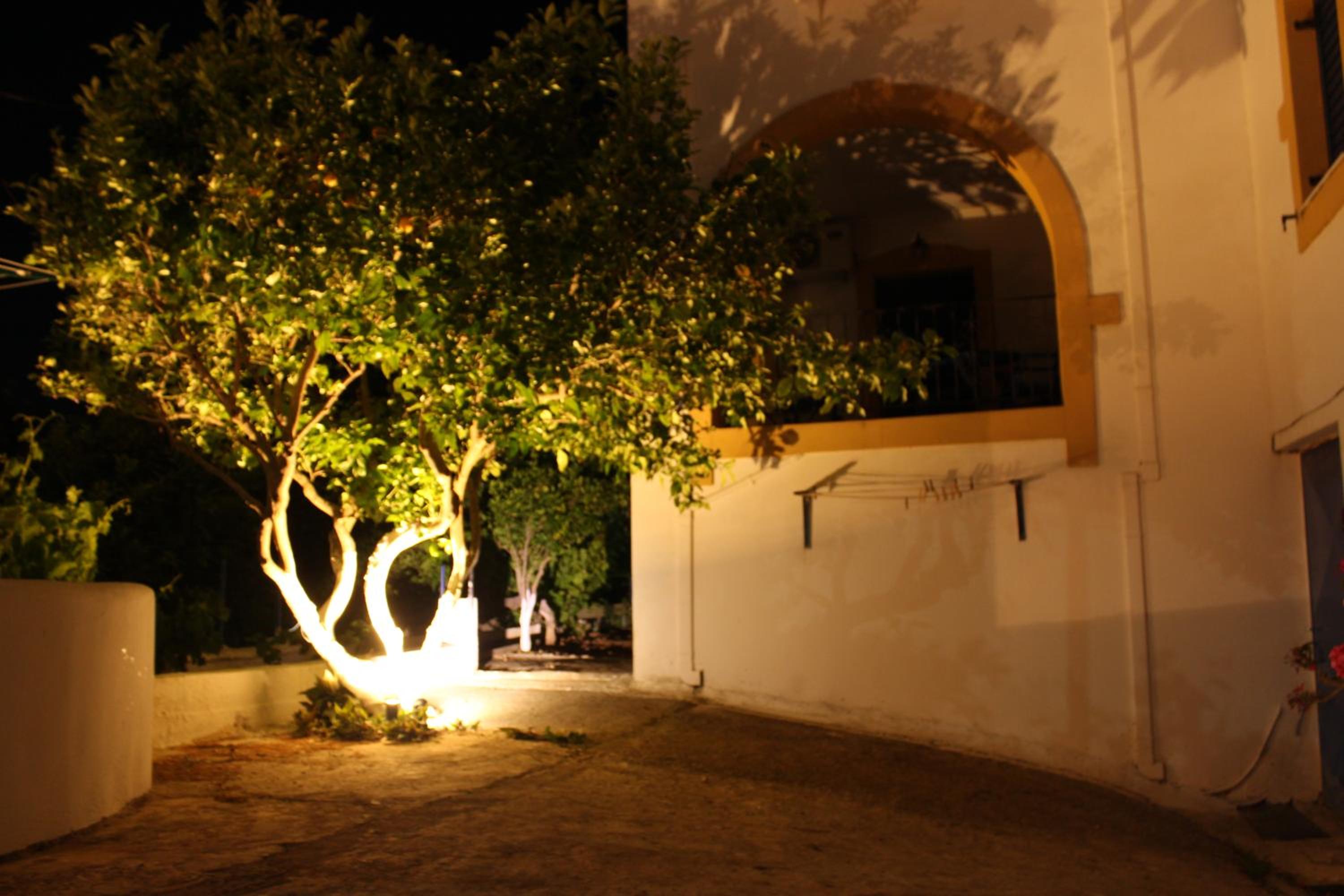 Photo 26