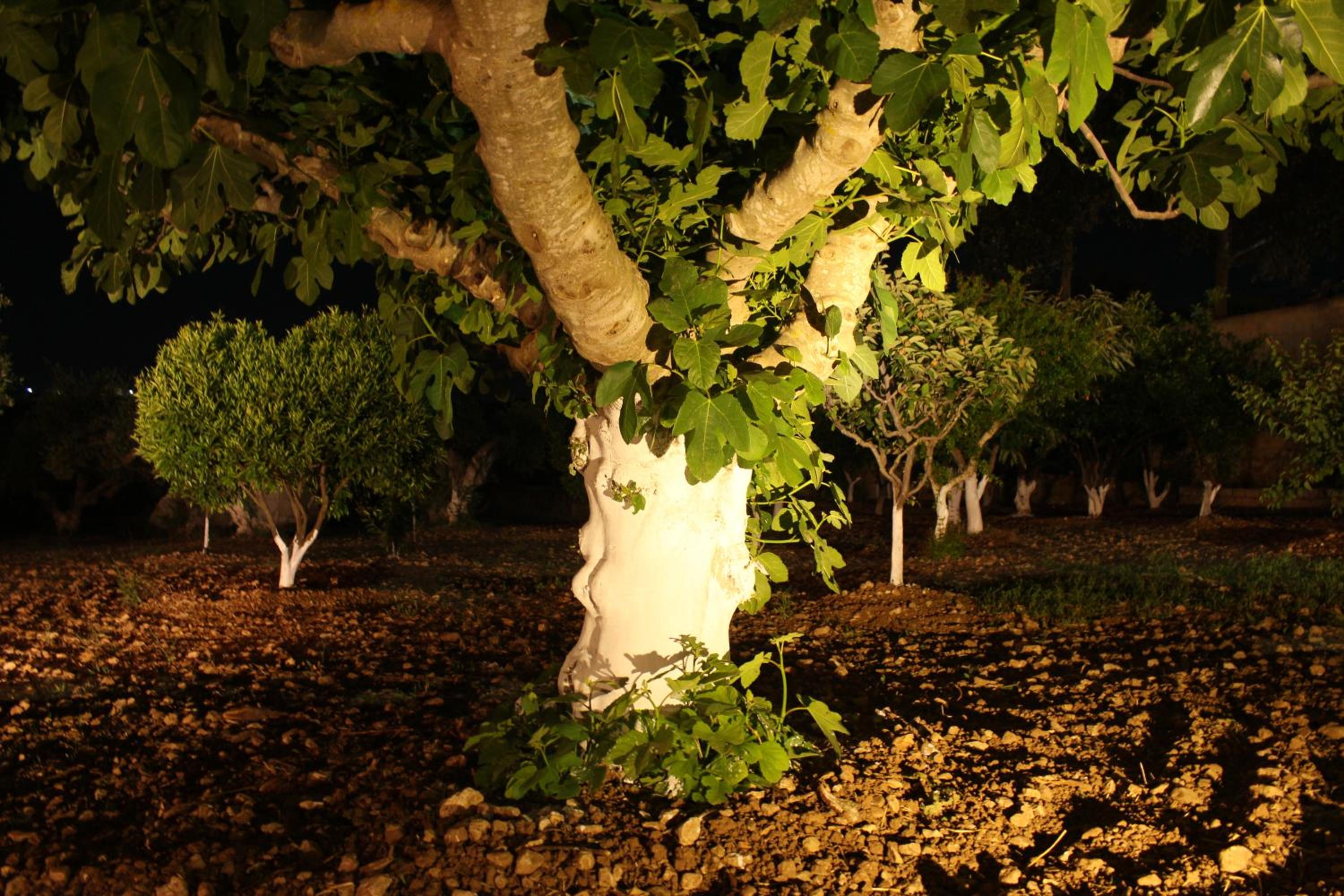 Photo 179