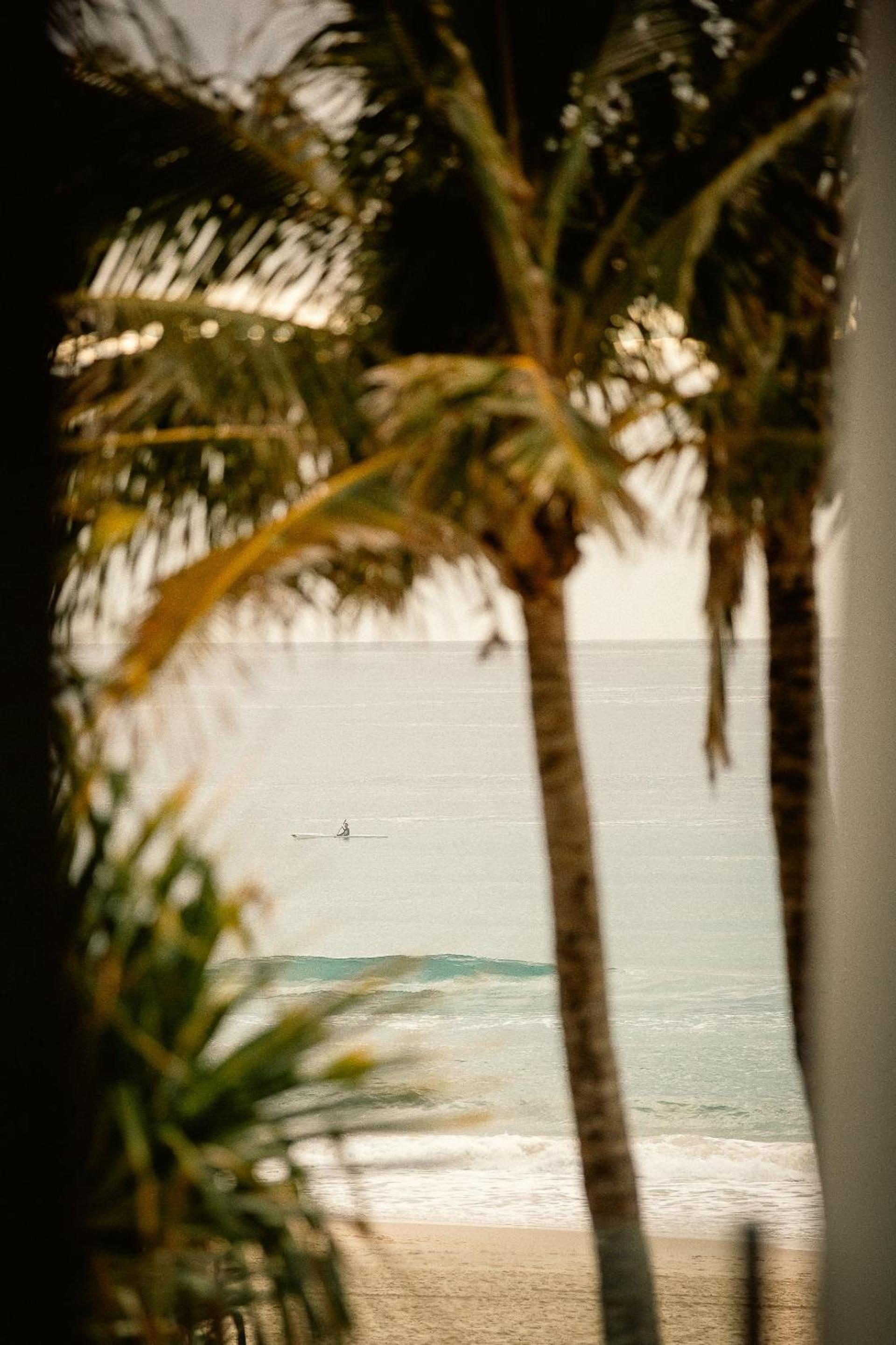 Waves 203 on Currumbin view 2