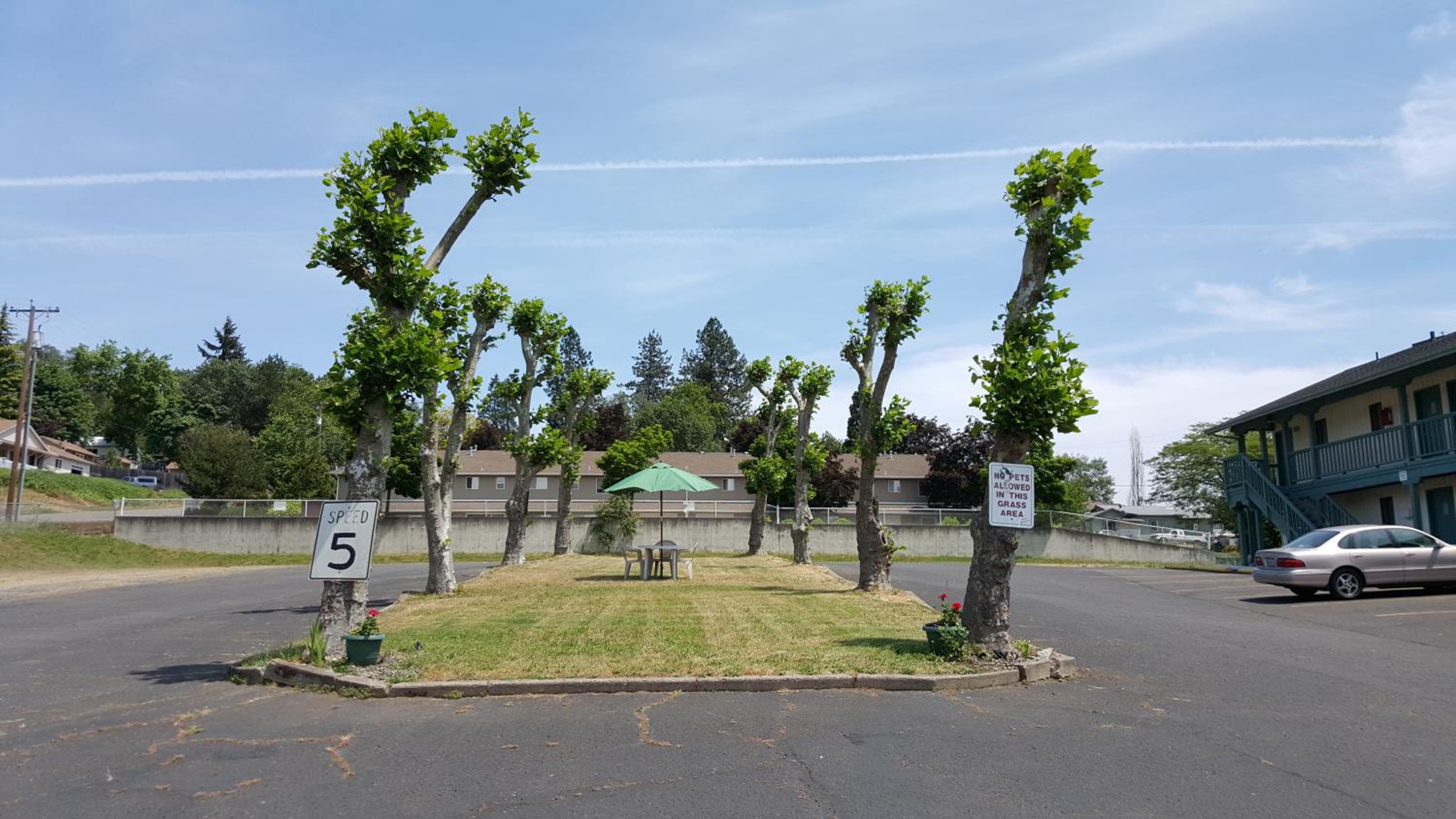 Safari Inn Motel