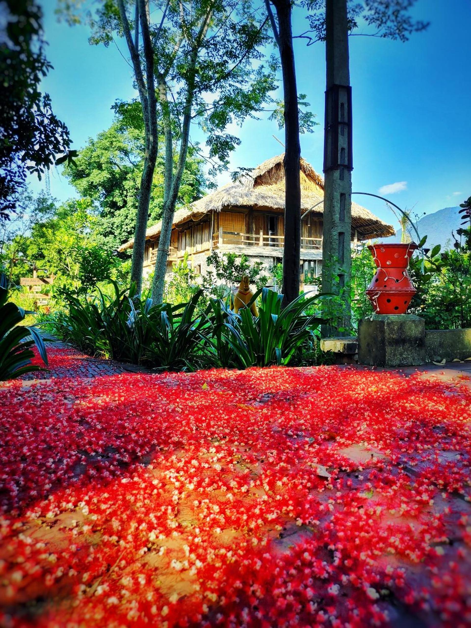 Wonder Farm Ba Vì - Edu & Retreat