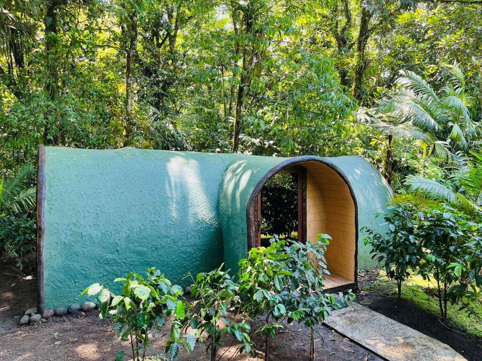 The Wellness Park Costa Rica