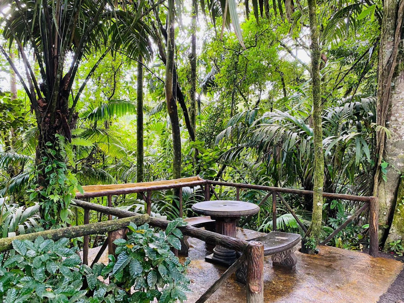 The Wellness Park Costa Rica