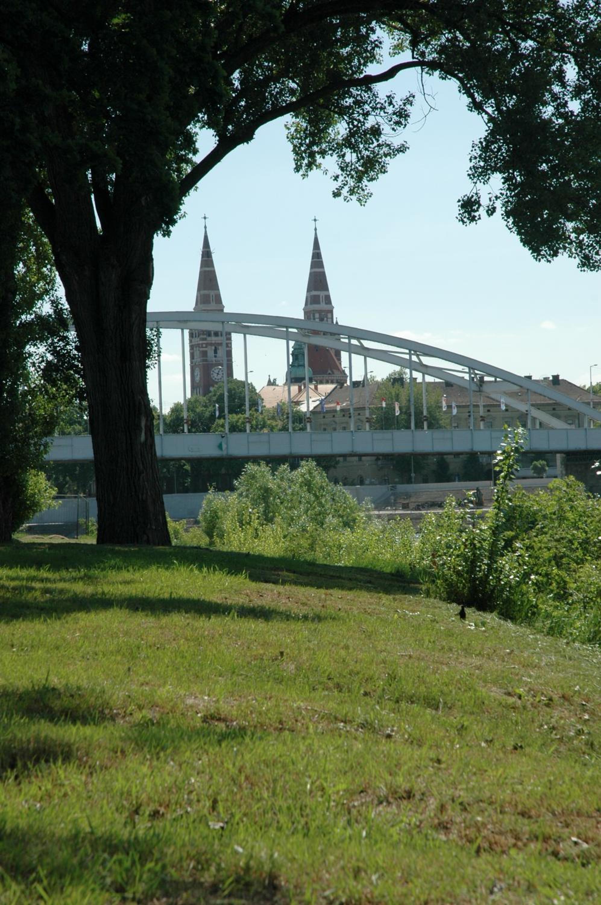 Photo 36