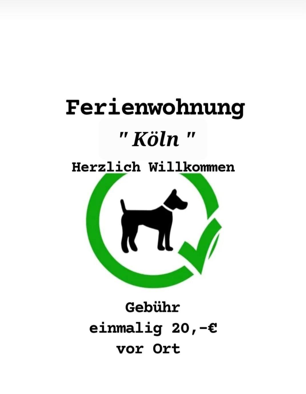 Waldblick Ferienwohnungen