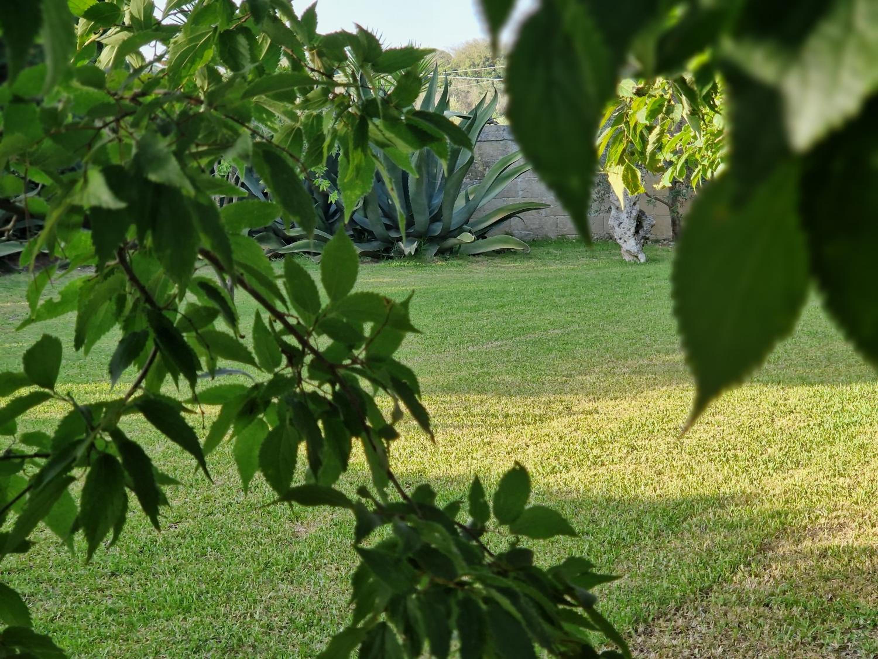 Photo 25