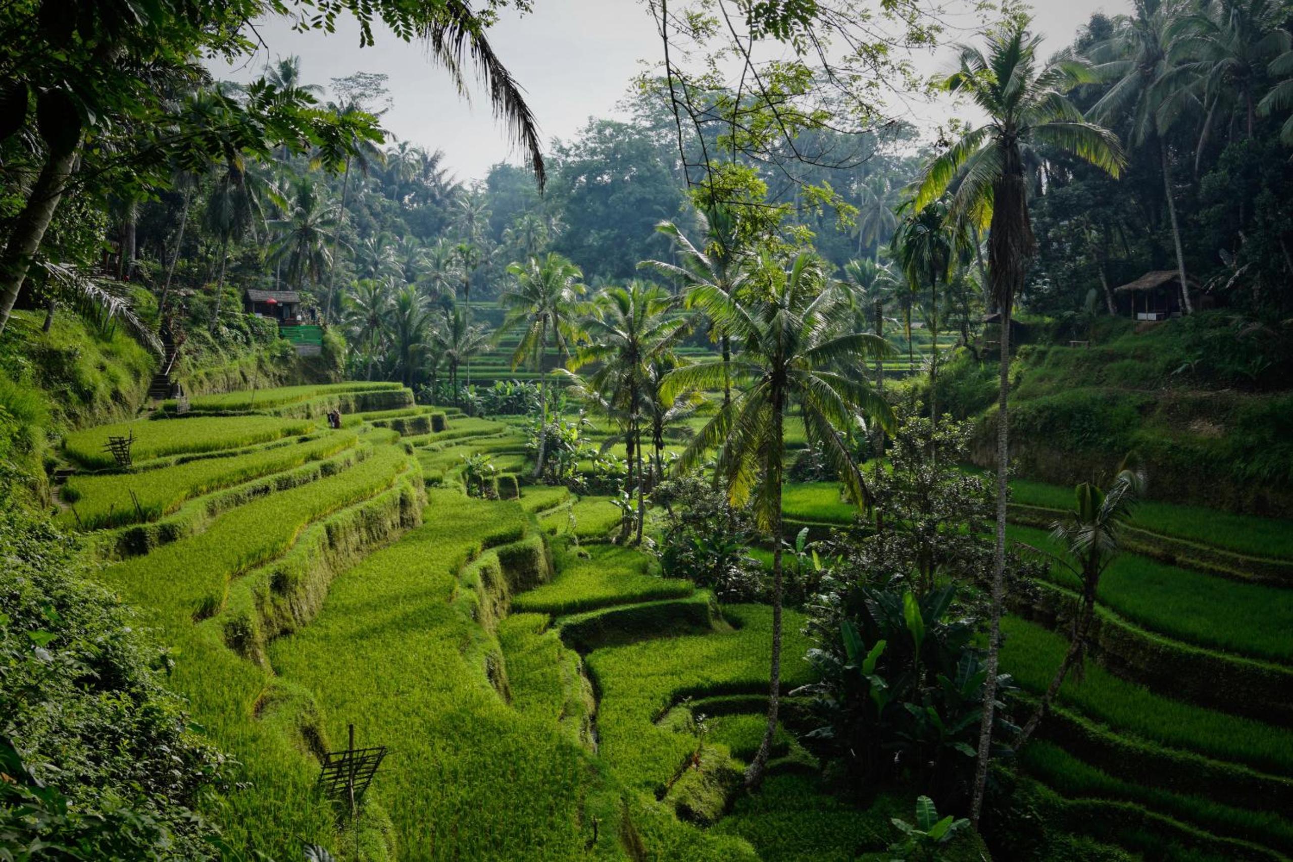 Villa Amorgos II, Ubud
