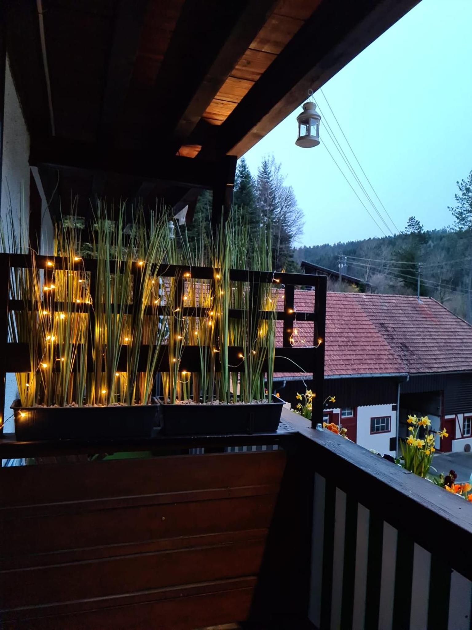 Waldblick Ferienwohnungen