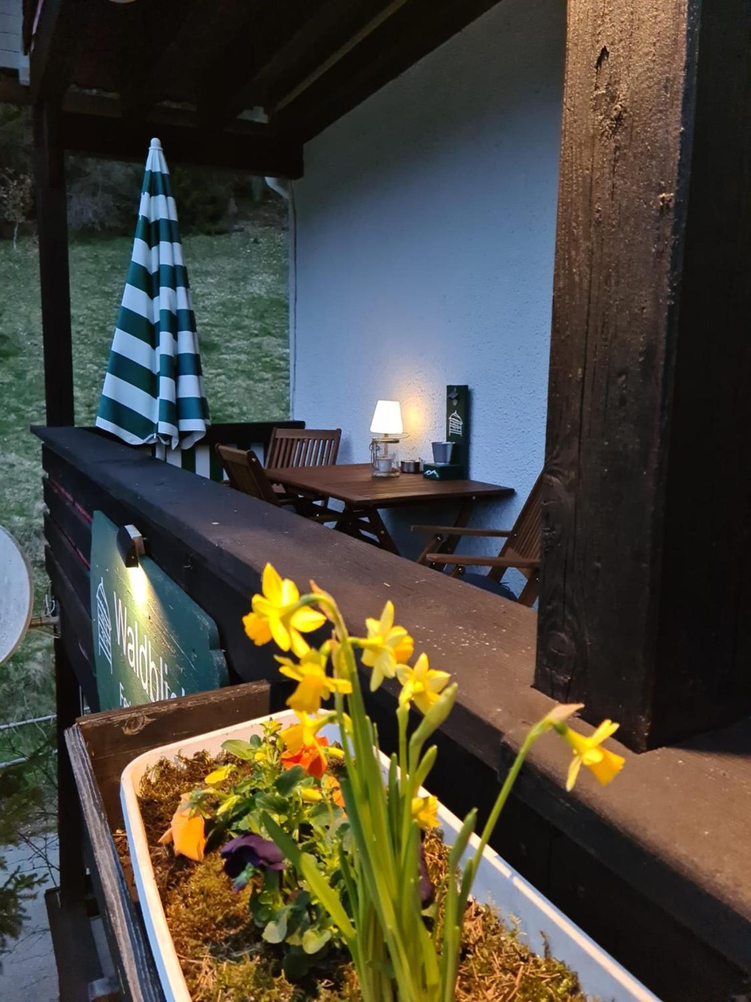 Waldblick Ferienwohnungen