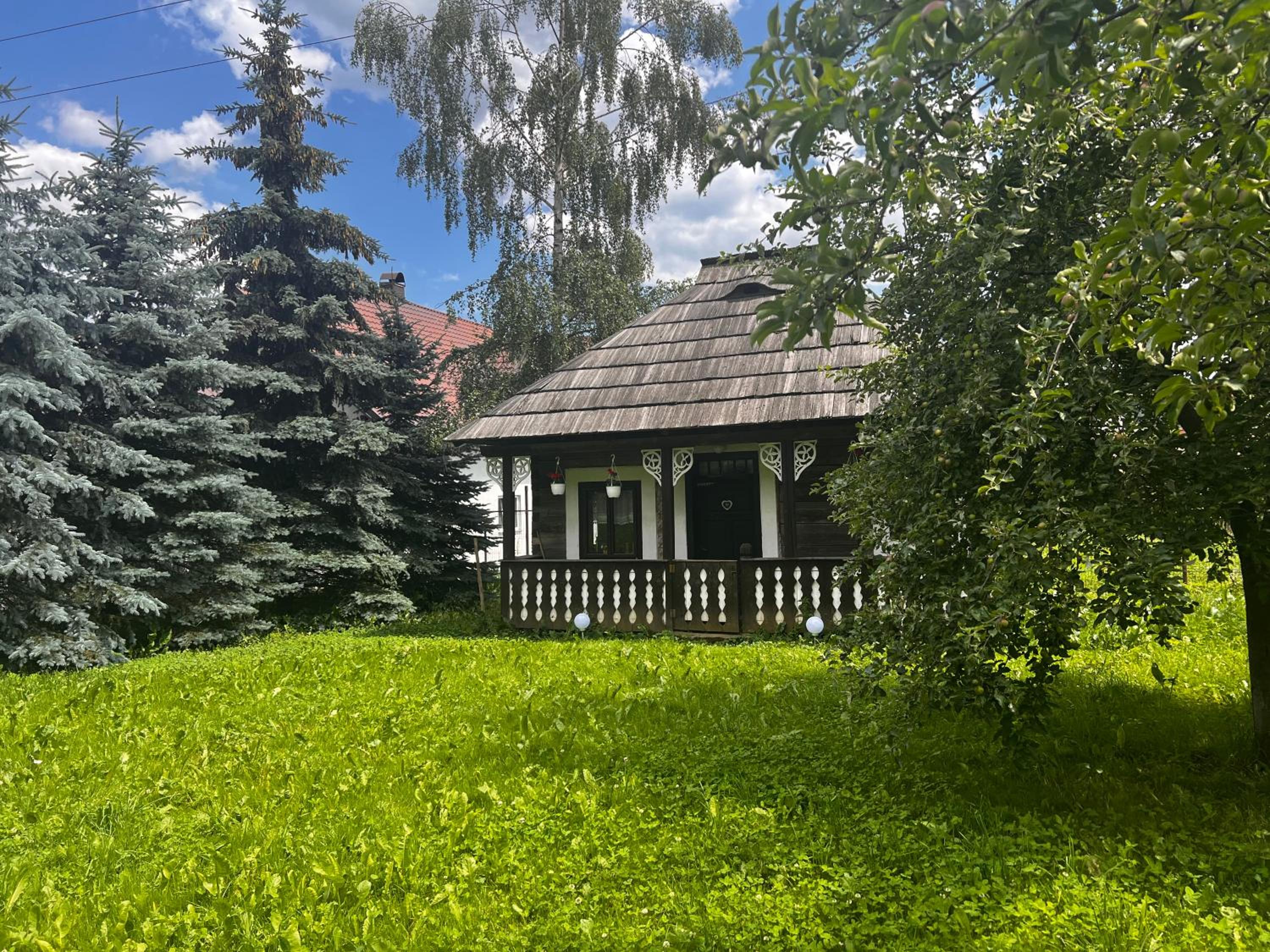 Photo 19