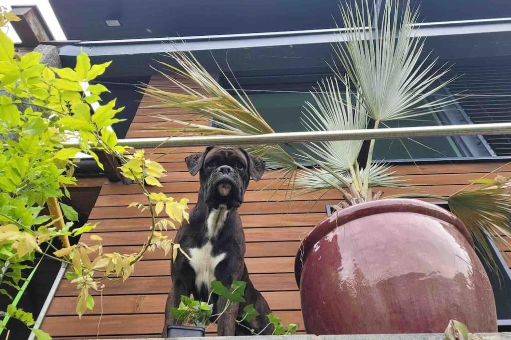 Villa Bootsmann mit spektakulärer Seesicht nahe Badestrand