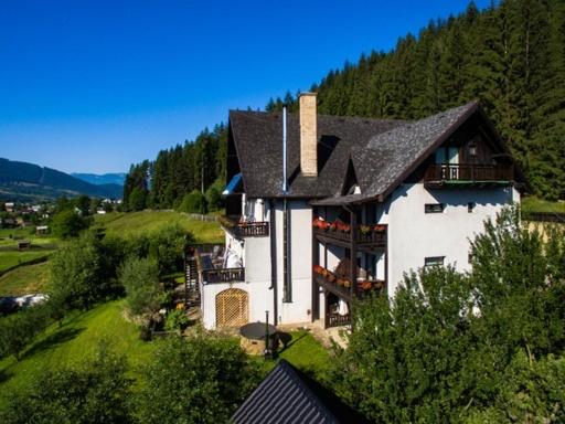 Bucovina Lodge Pension view 5