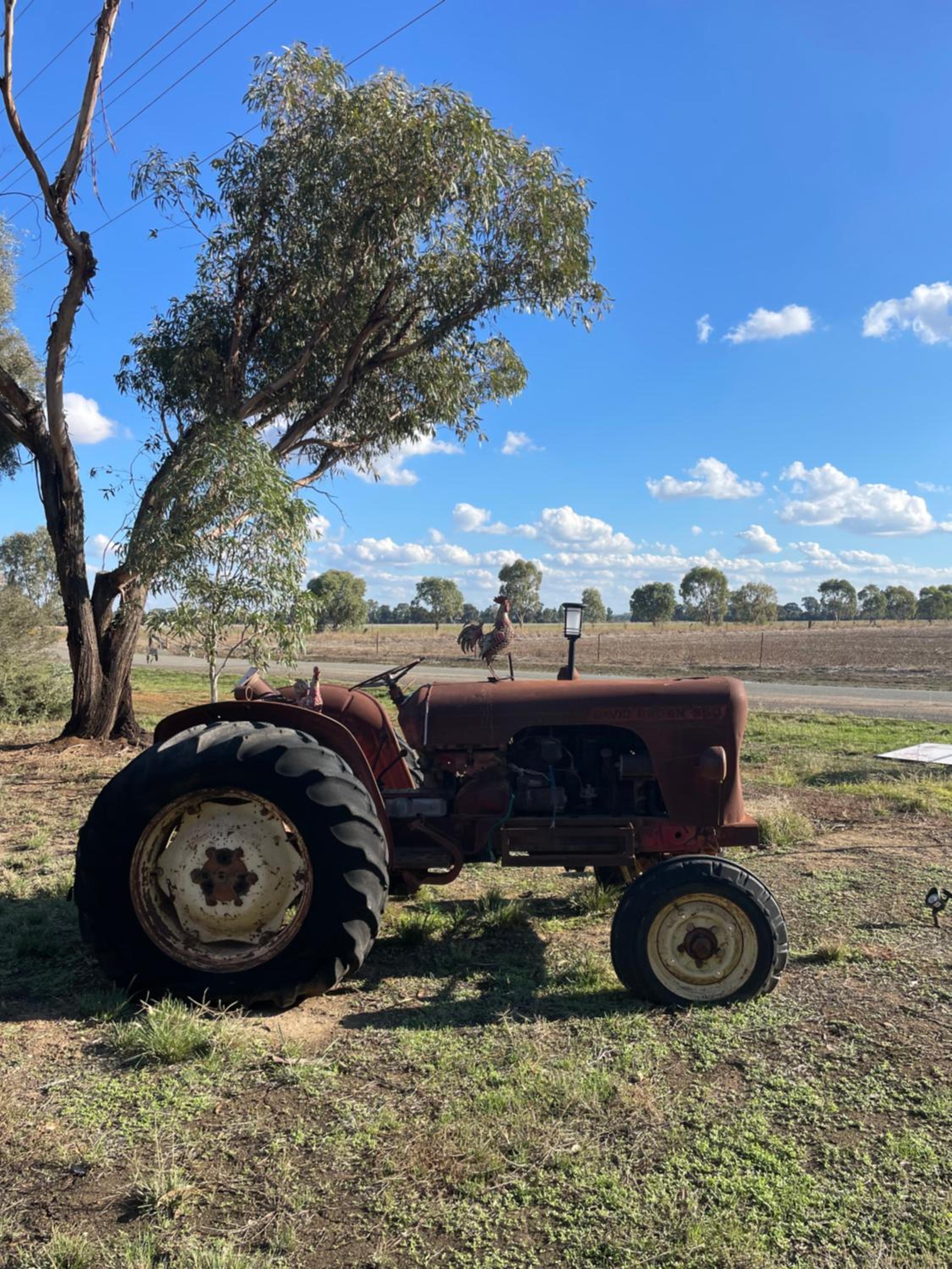 Escape to the country