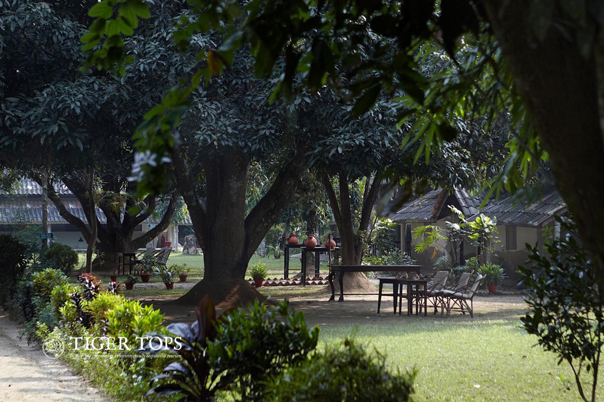 Tiger Tops Tharu Lodge