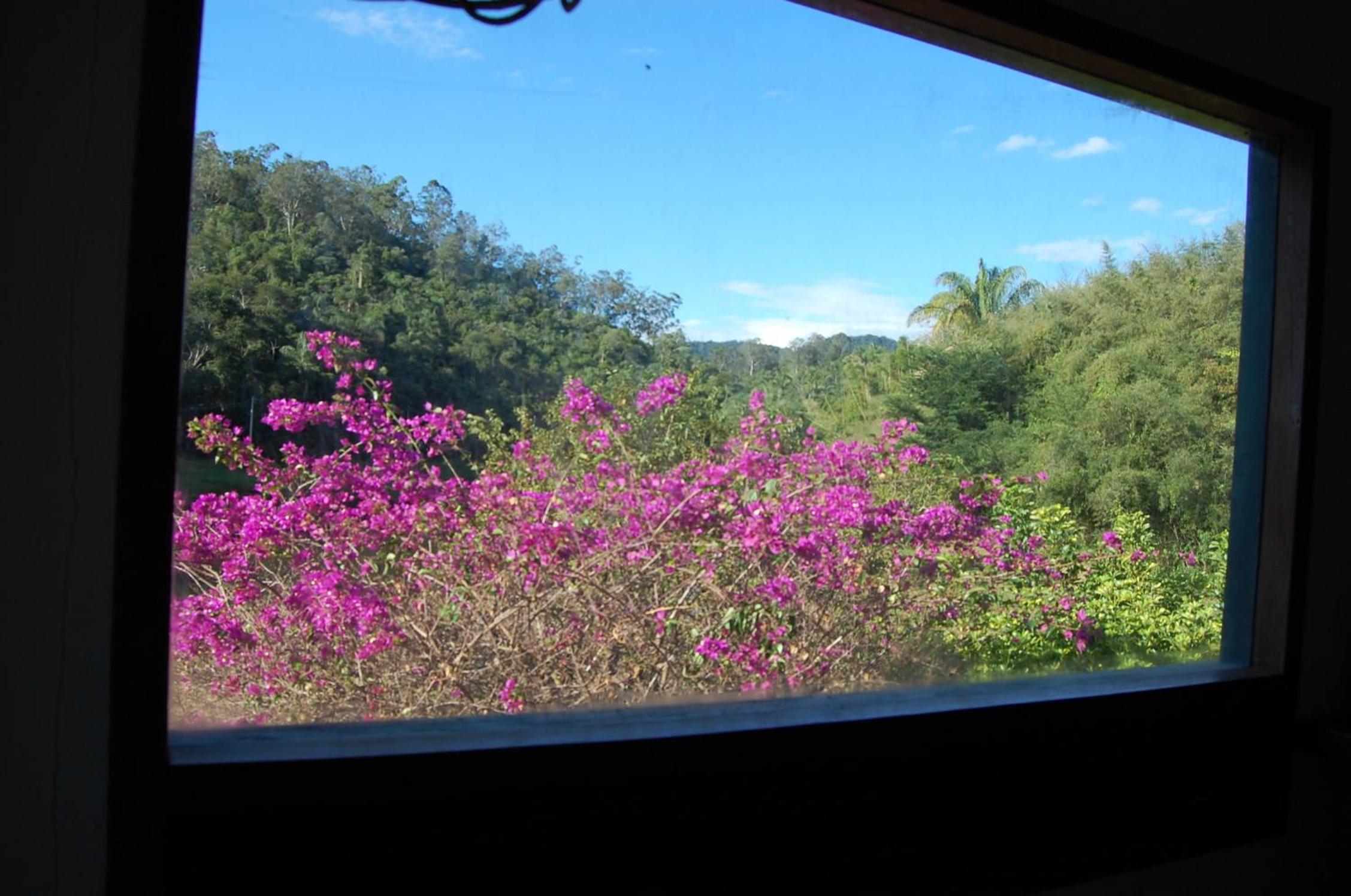 Fazenda Cachoeira Grande
