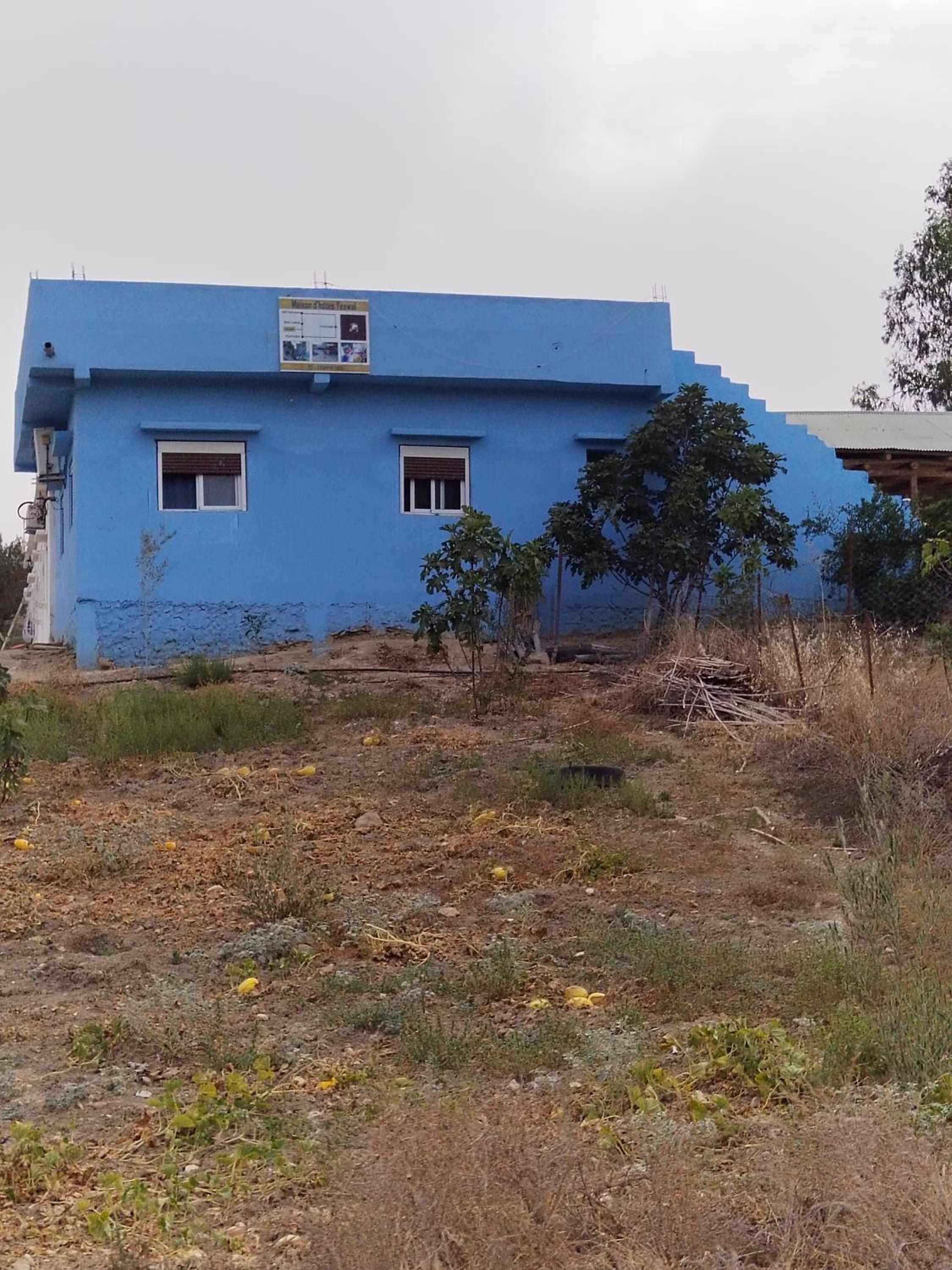 building