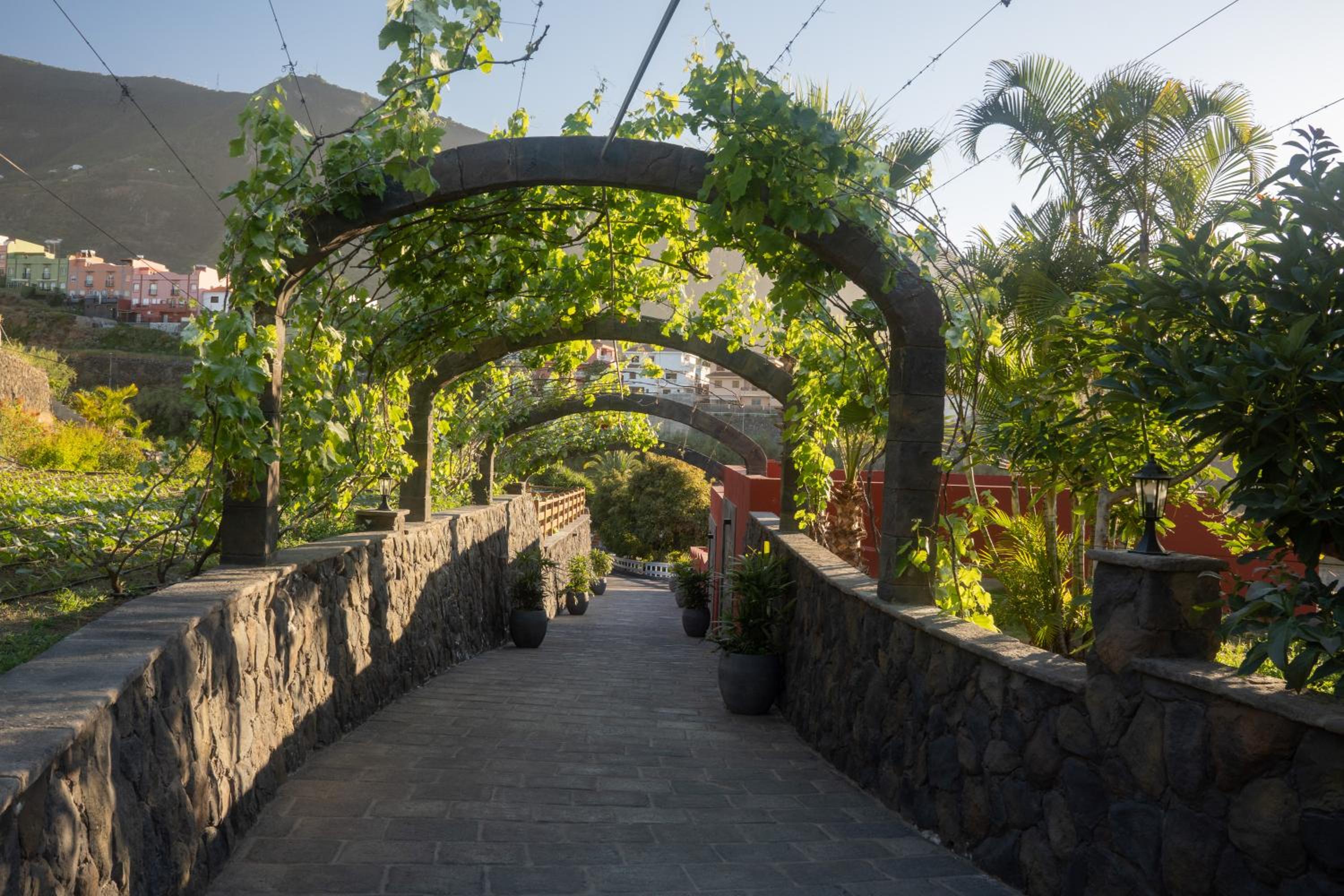 Finca Pico