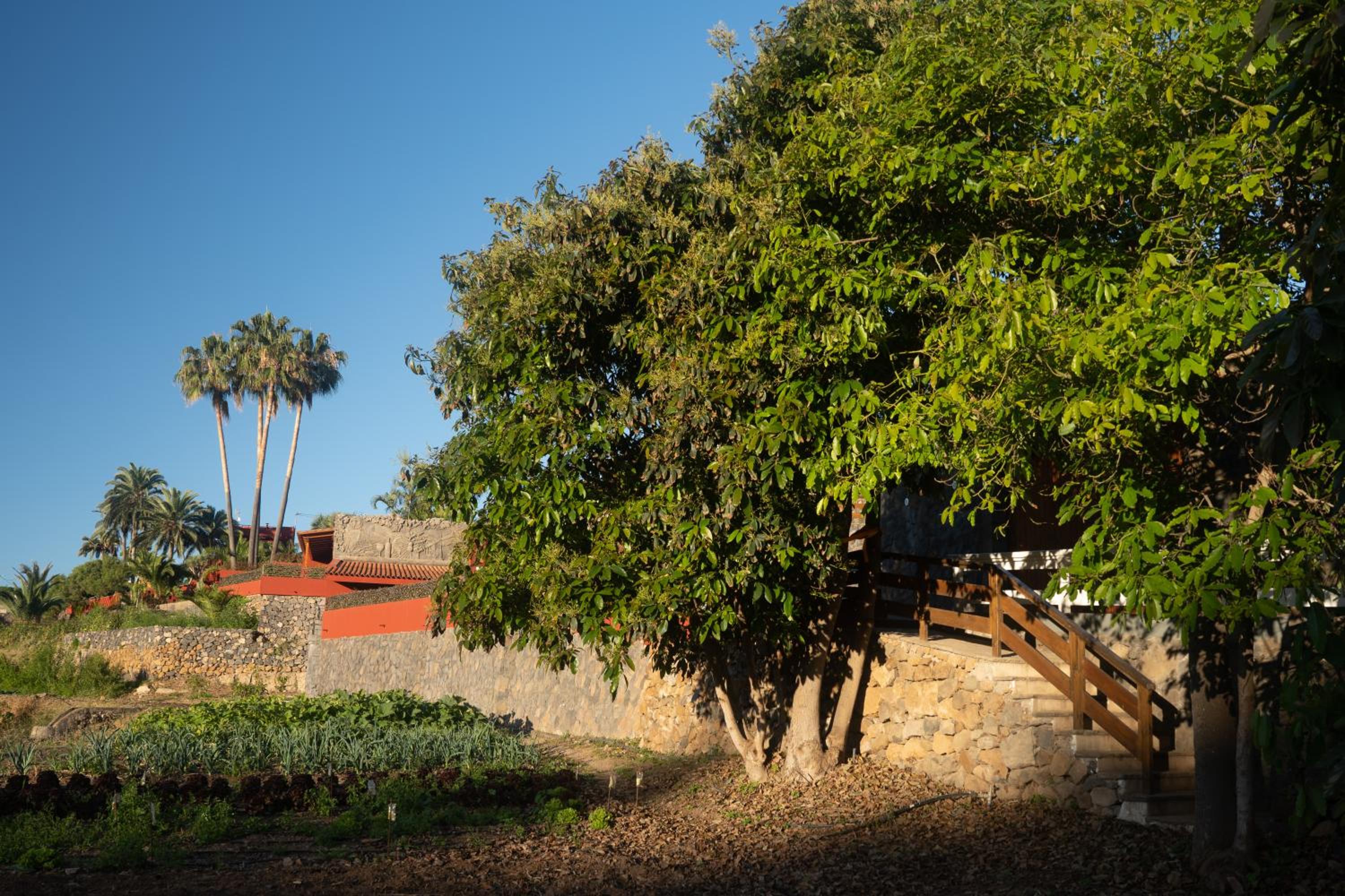 Finca Pico
