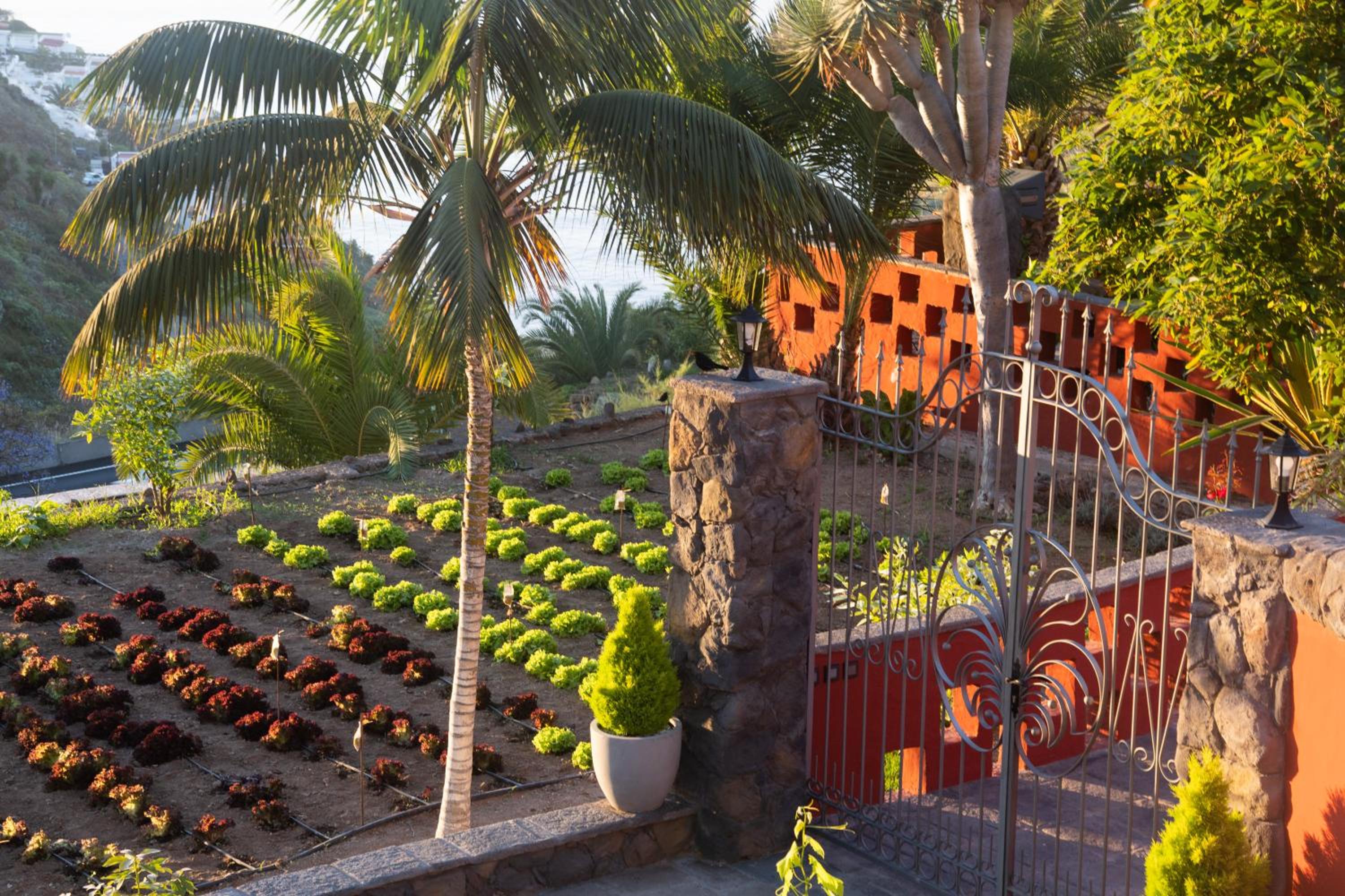 Finca Pico