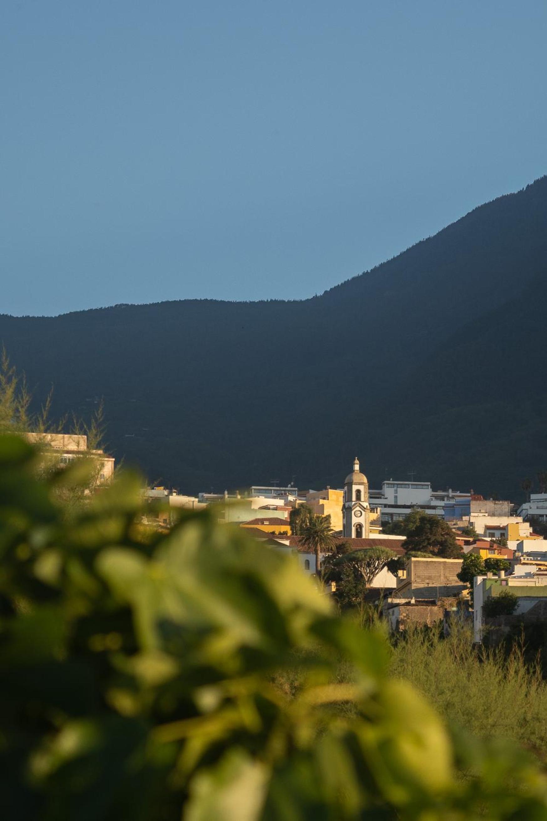 Finca Pico