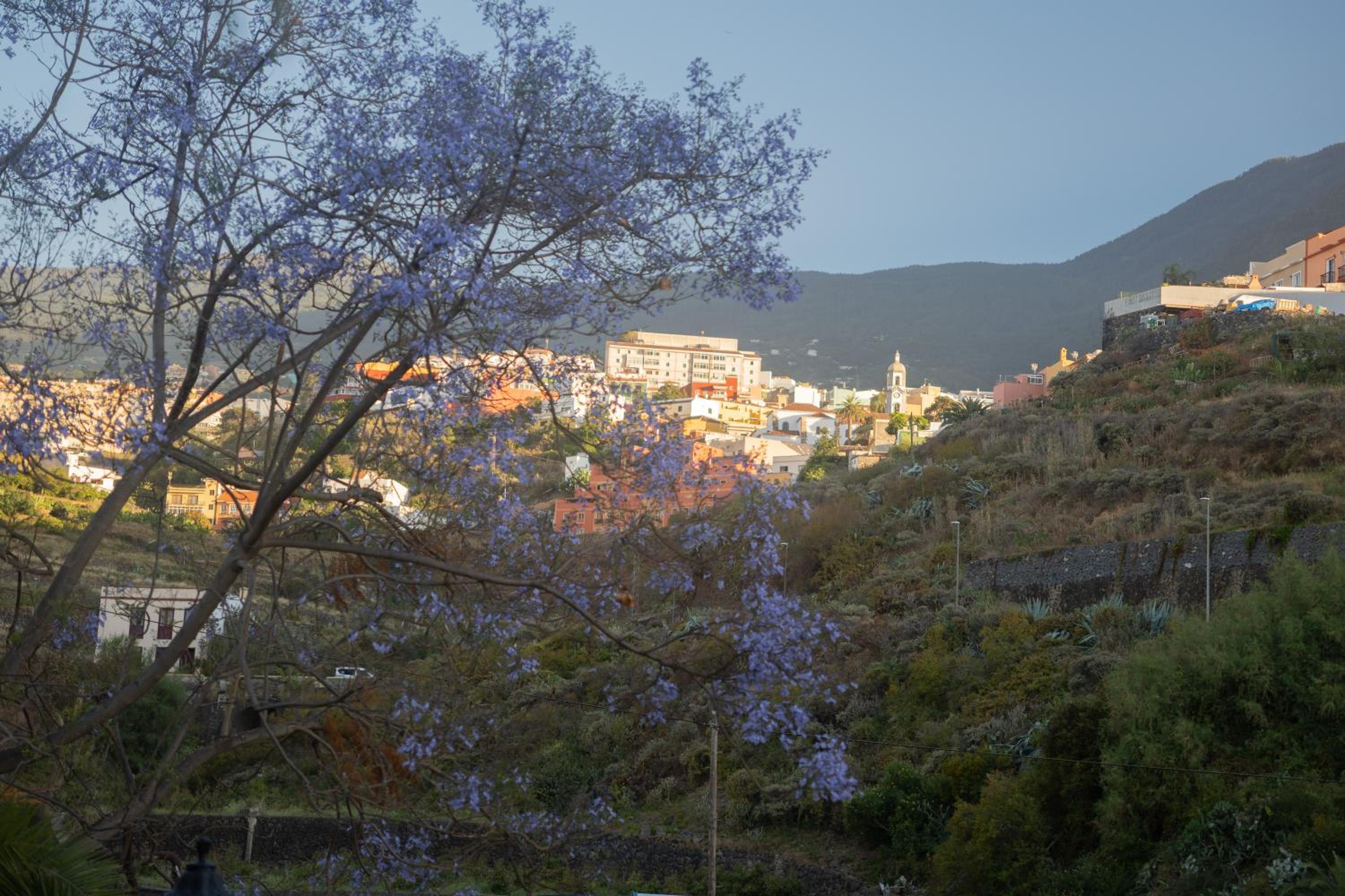Finca Pico