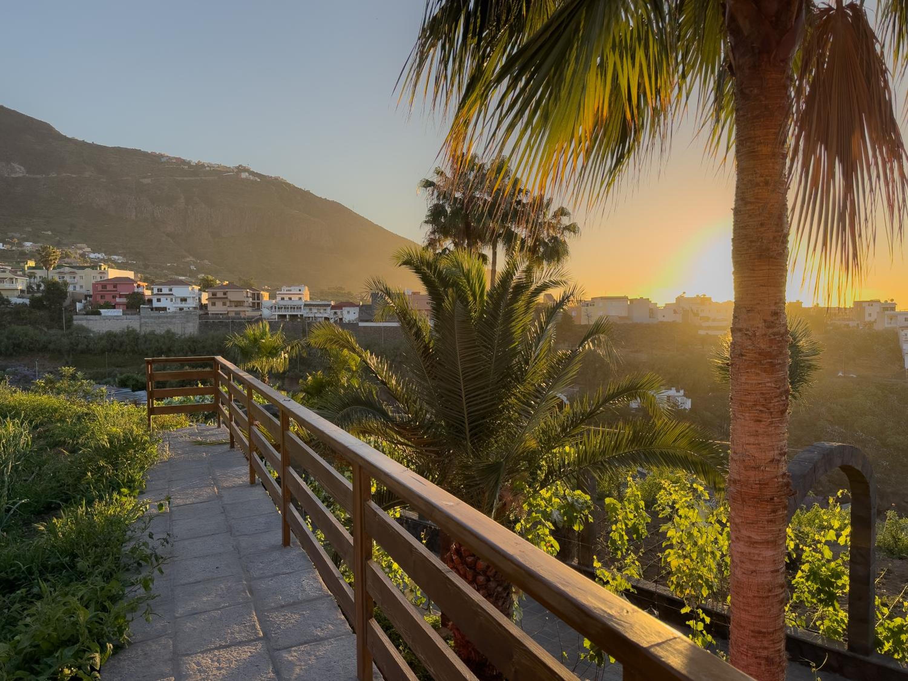 Finca Pico