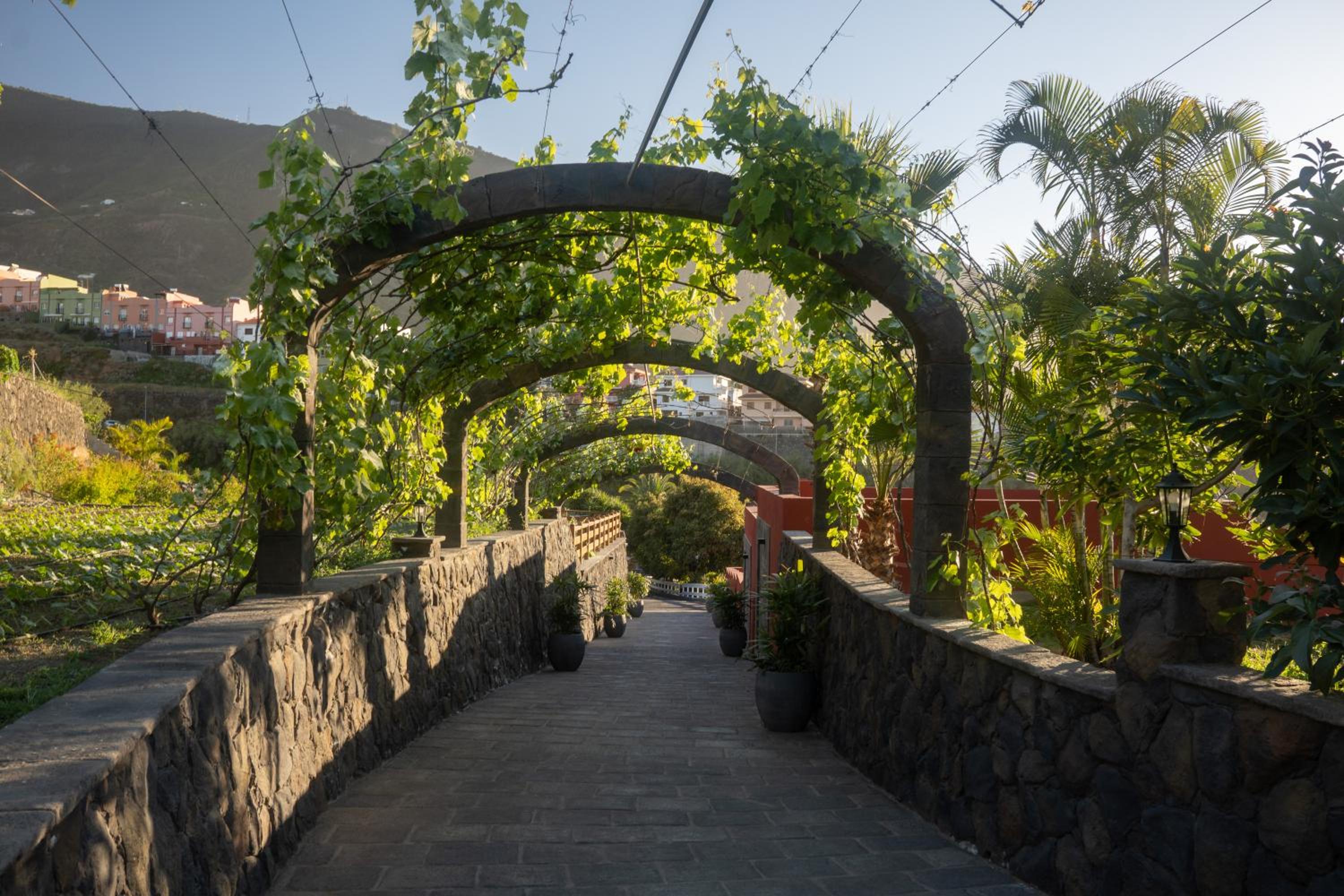 Finca Pico