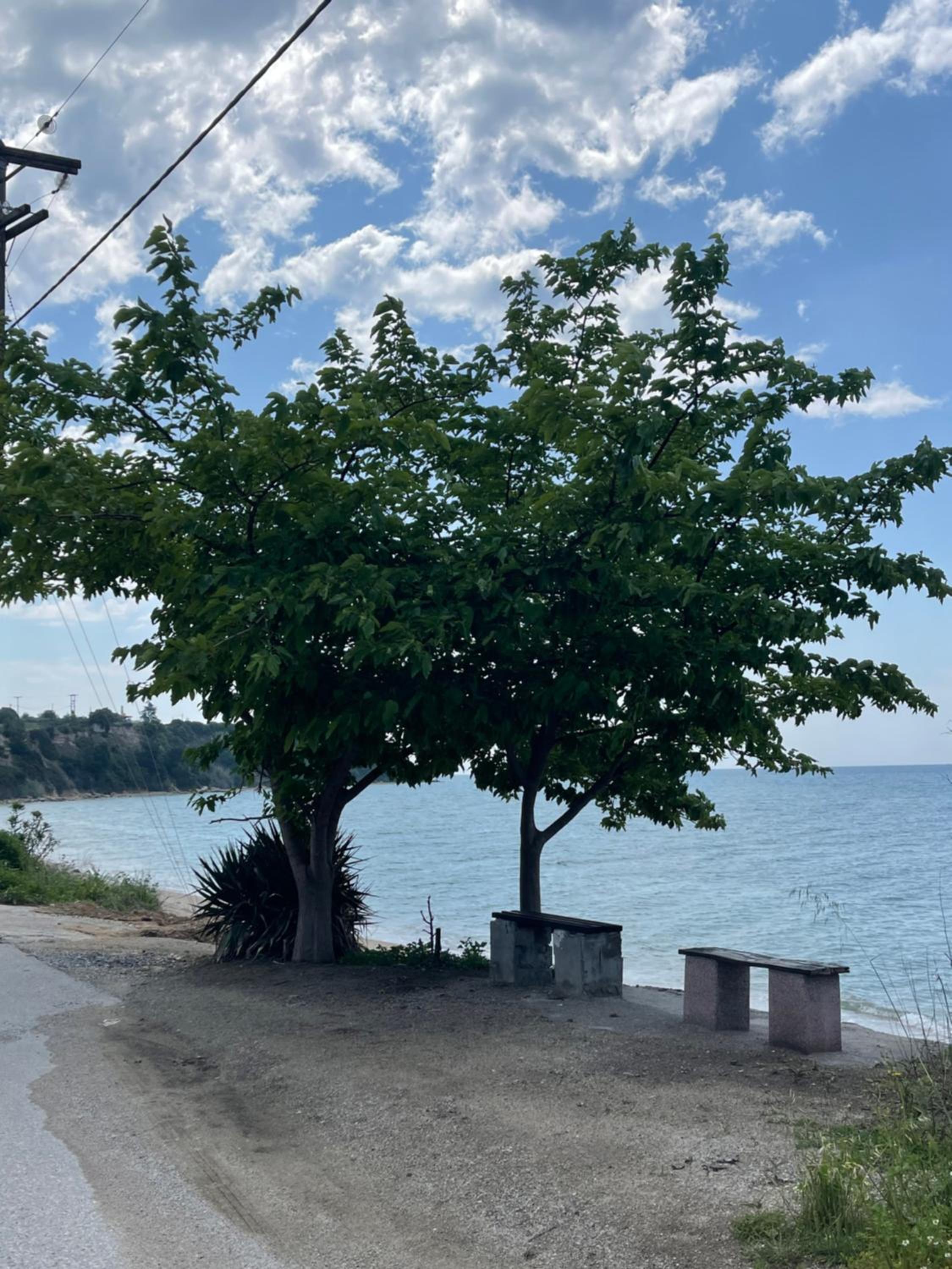 Ellie's Eco Private Glamping and Spa - Property Image 27