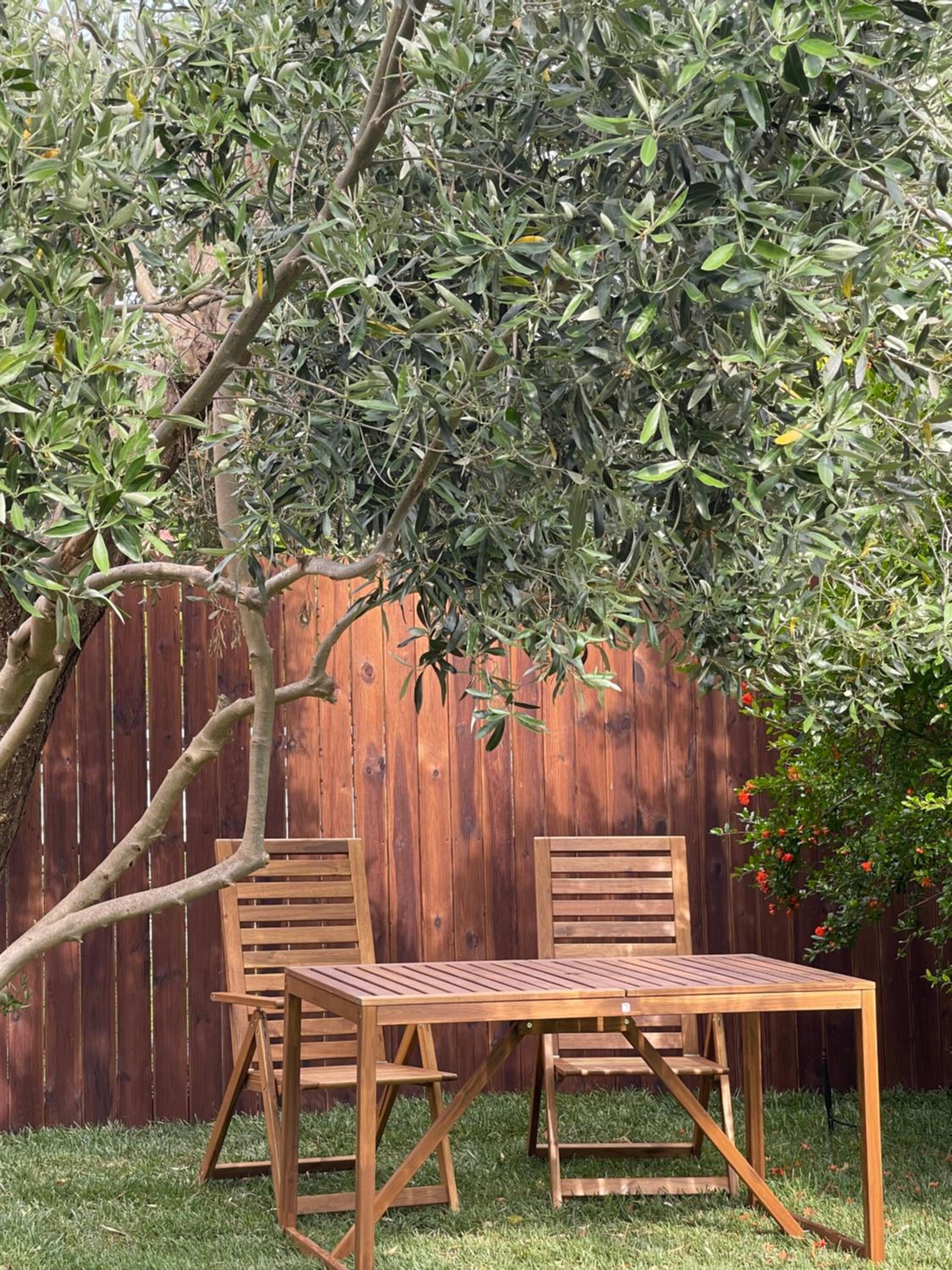 Ellie's Eco Private Glamping and Spa - Property Image 19