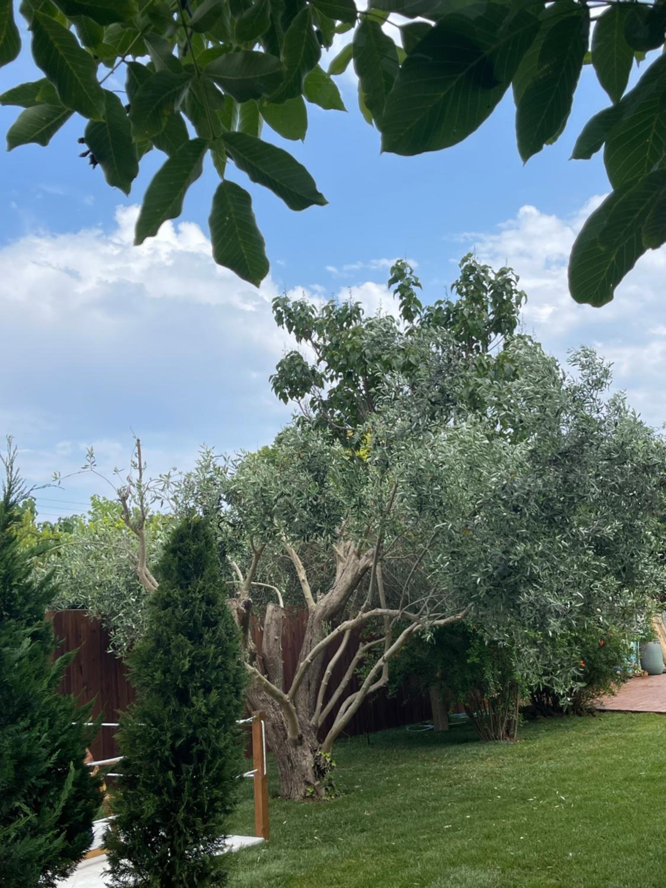 Ellie's Eco Private Glamping and Spa - Property Image 25