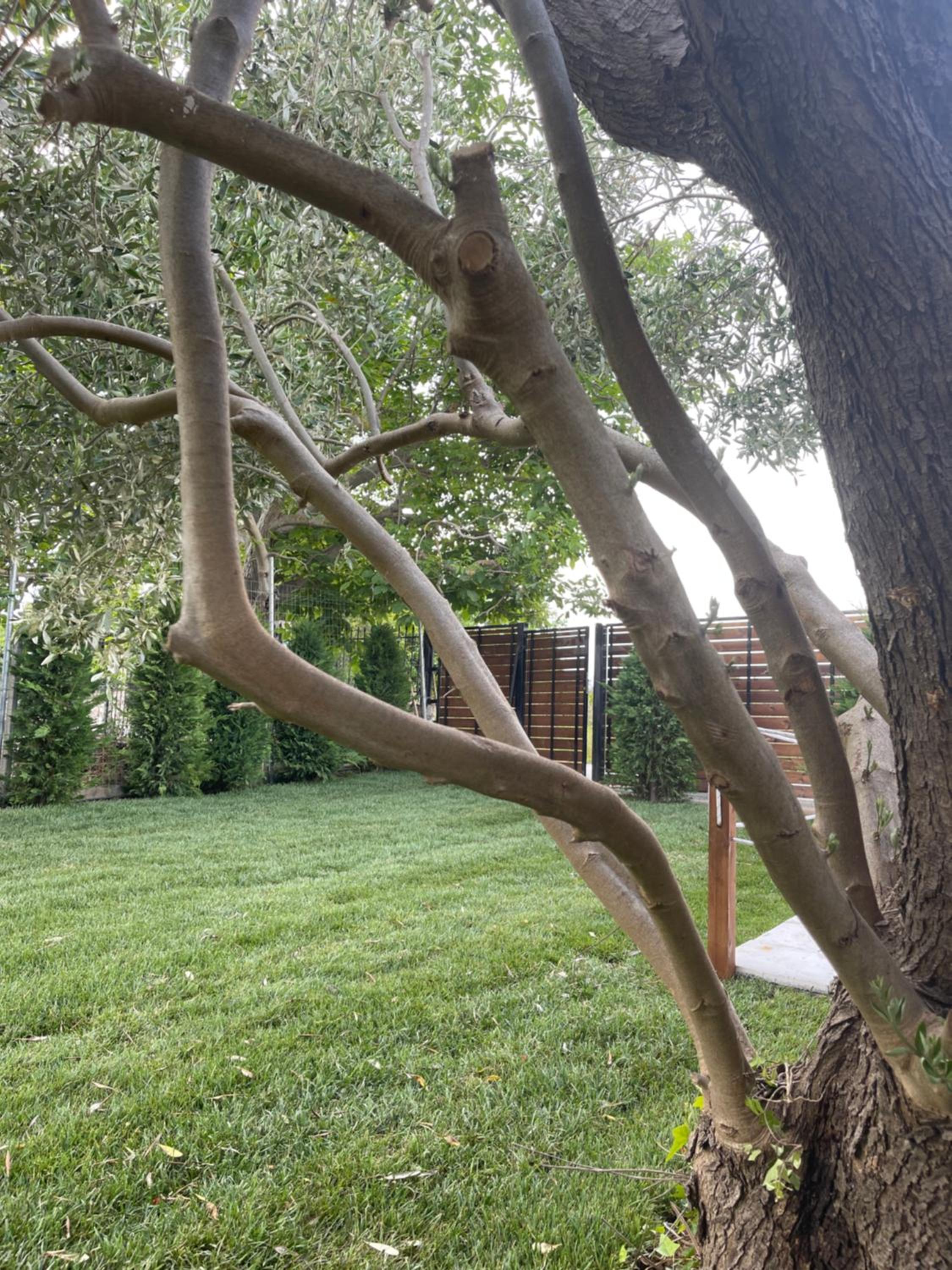 Ellie's Eco Private Glamping and Spa - Property Image 18