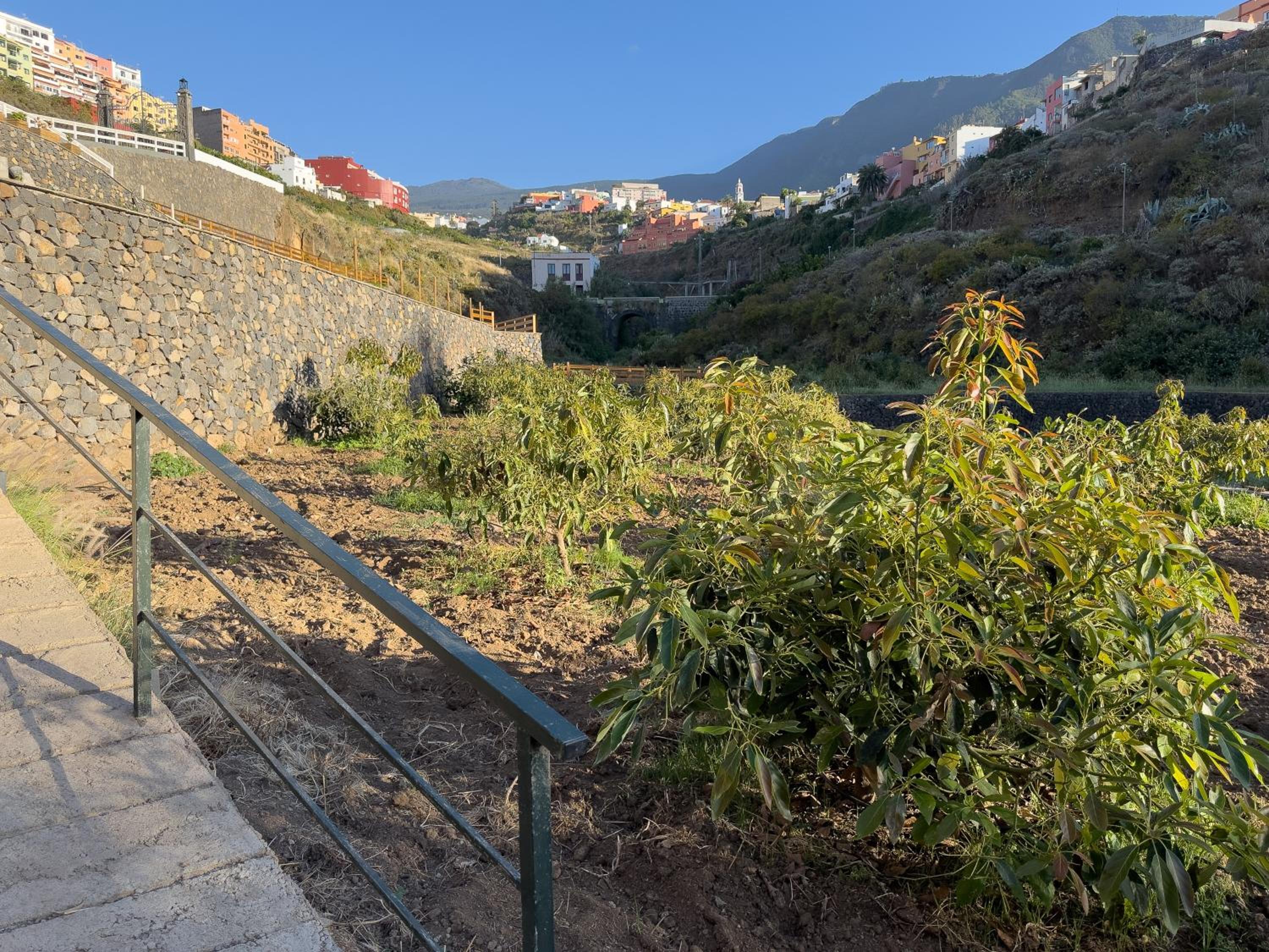 Finca Pico